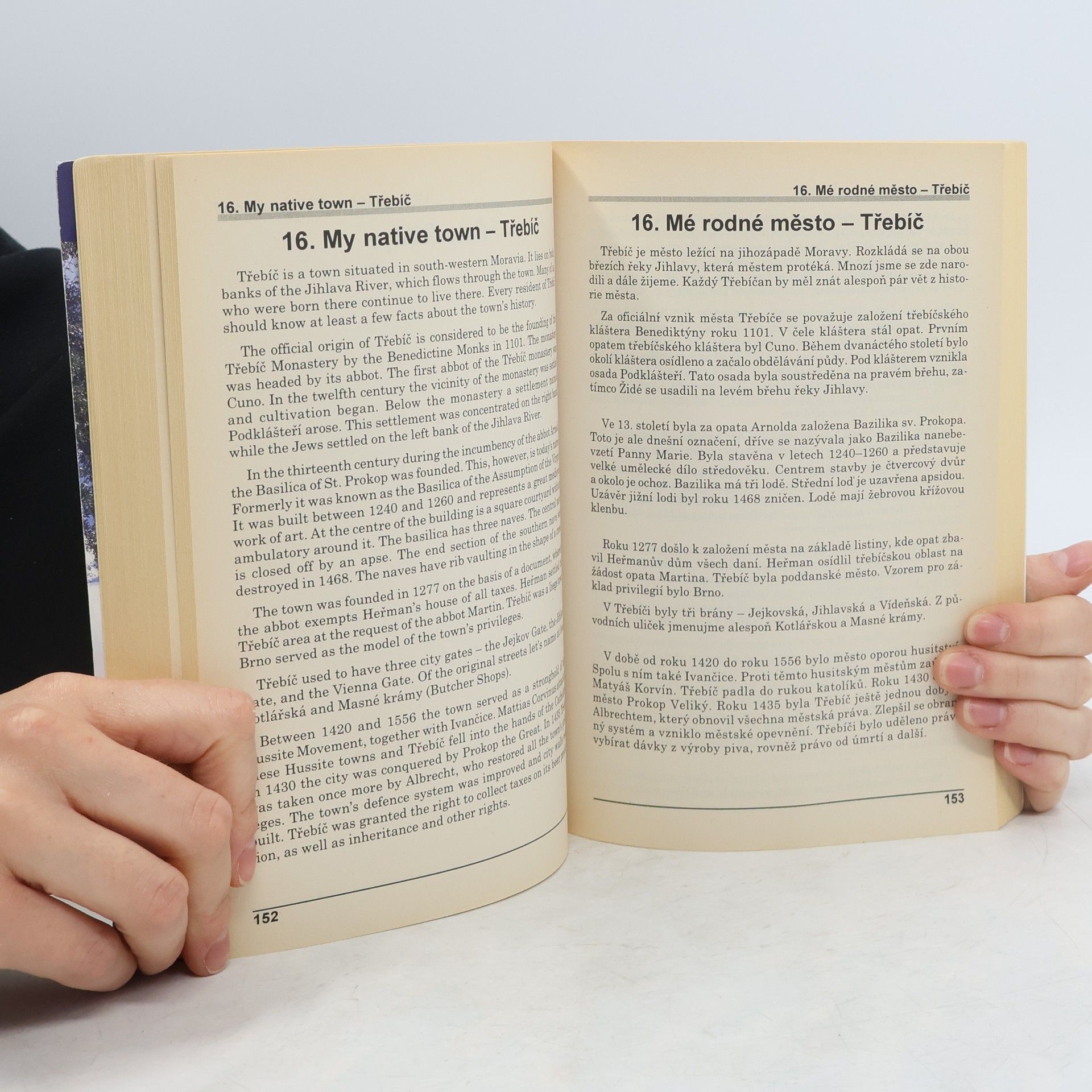 Autores varios Maturitní otázky z angličtiny