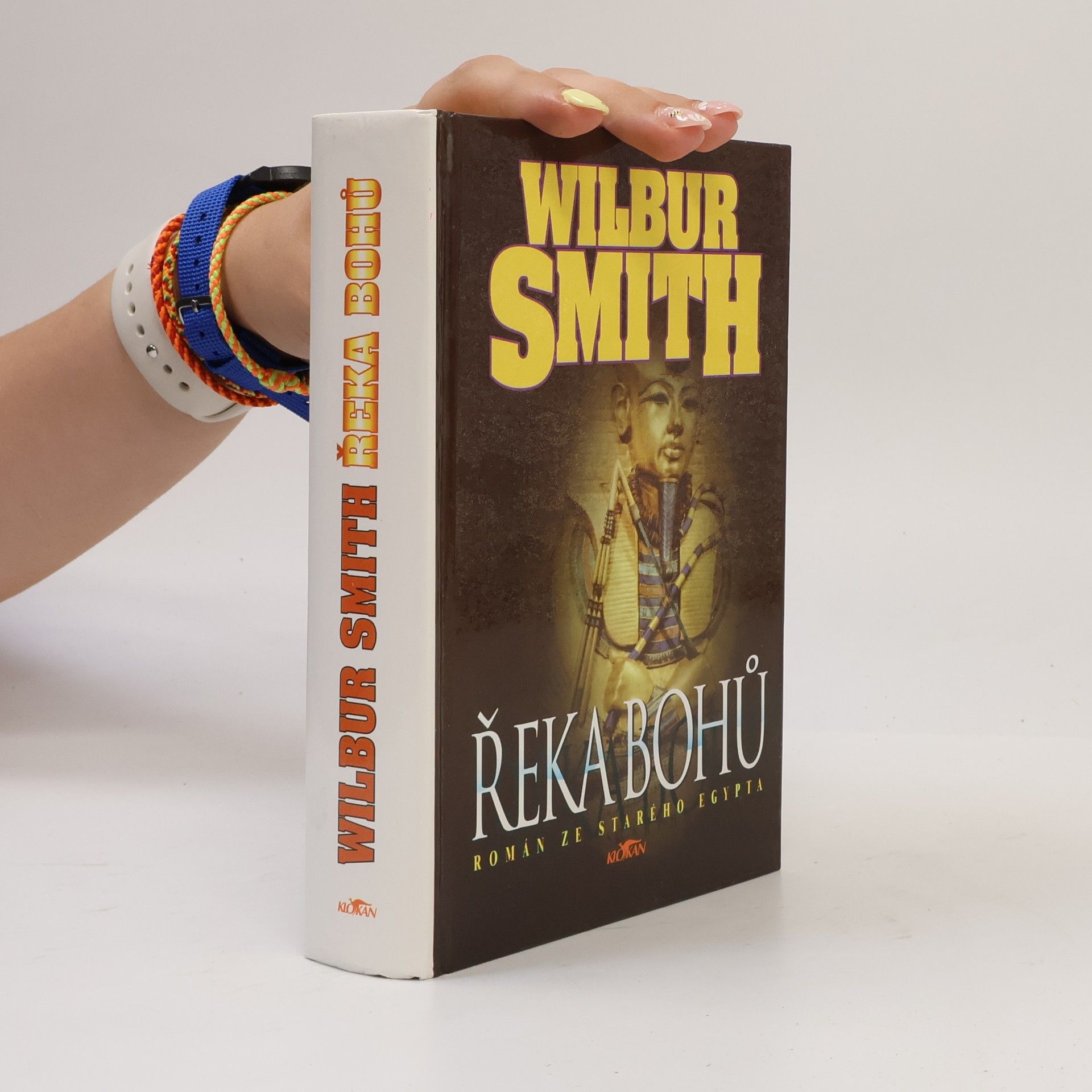Wilbur Smith Řeka bohů