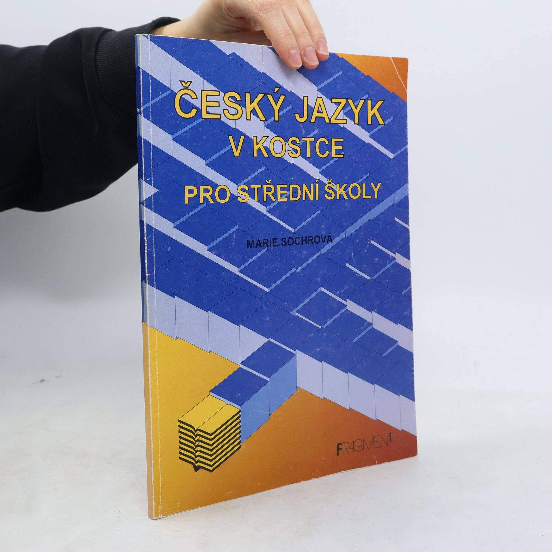 Marie Sochrová Český jazyk v kostce. Pro střední školy