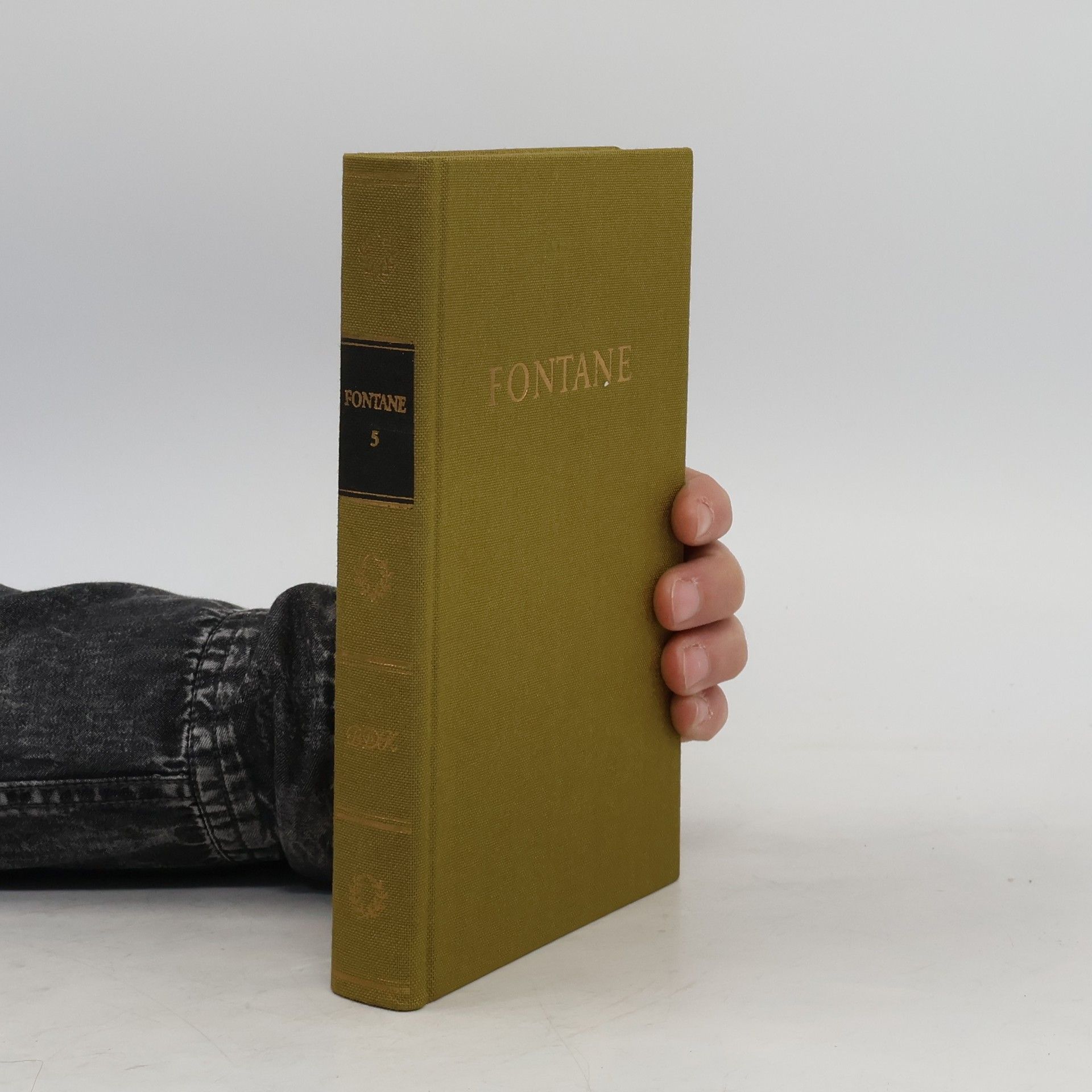 Theodor Fontane Fontanes Werke 5