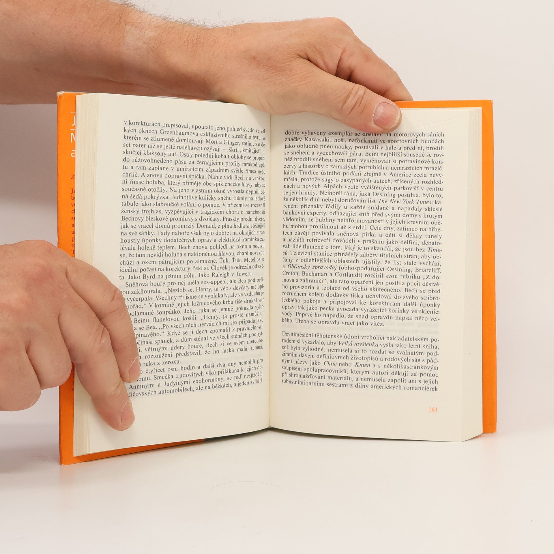 John Updike Milenci a manželé