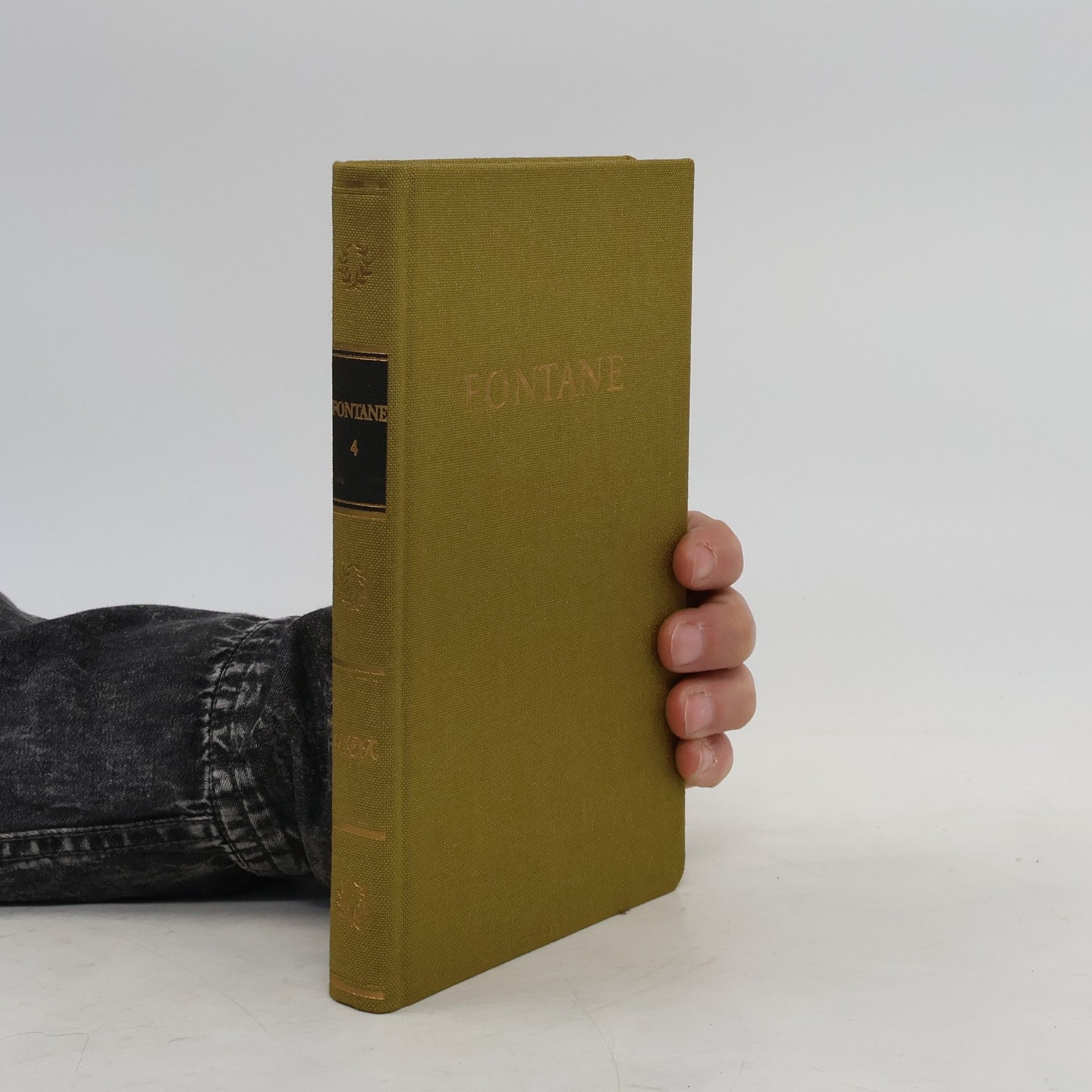 Theodor Fontane Fontane 4