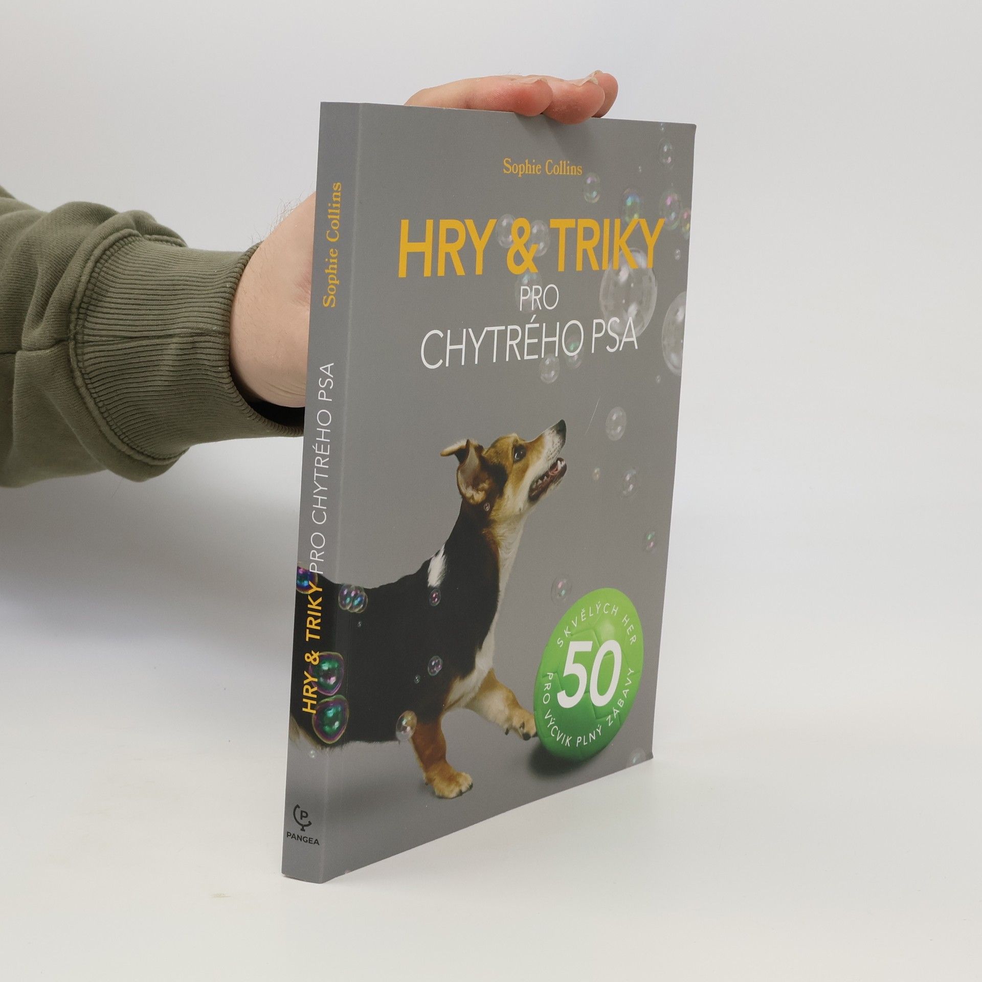 Hry & triky pro chytrého psa