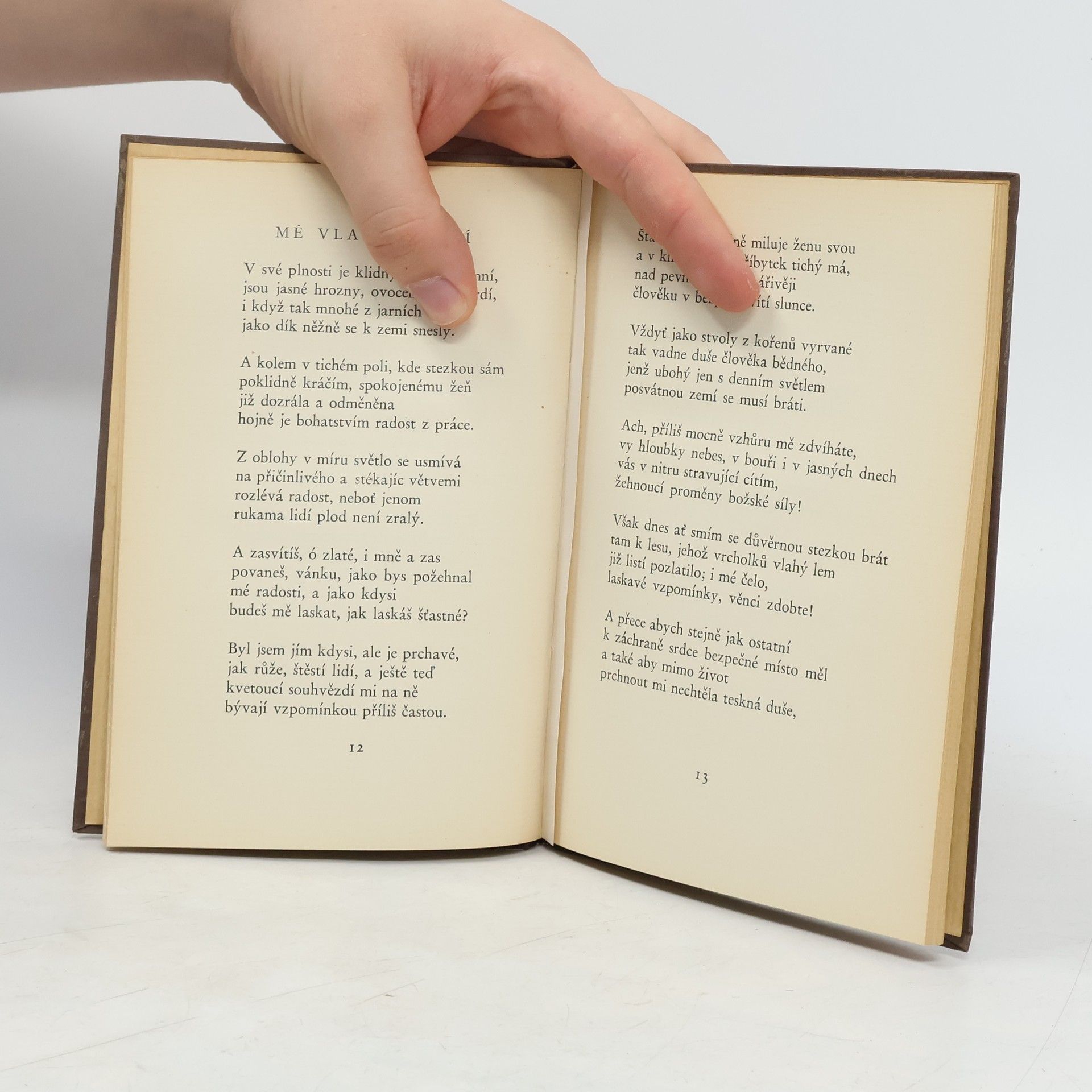 Friedrich Hölderlin Prokletí básníci 10. Hölderlin