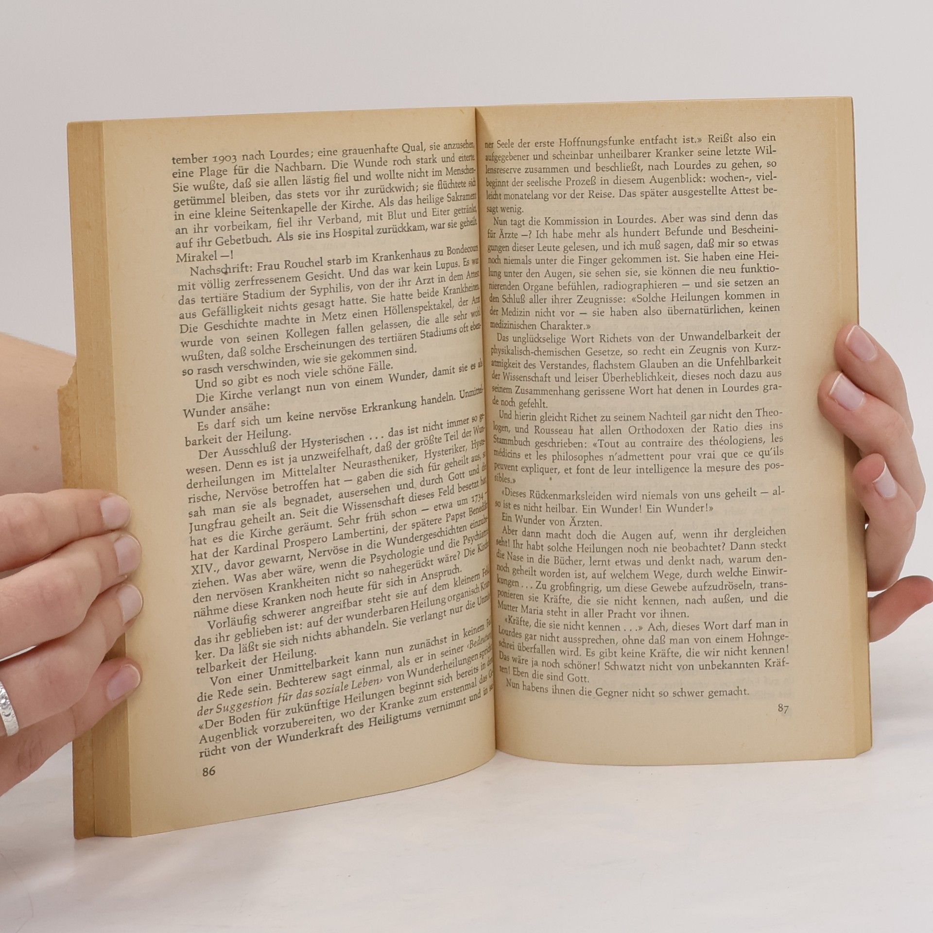 Kurt Tucholsky Ein Pyrenäenbuch
