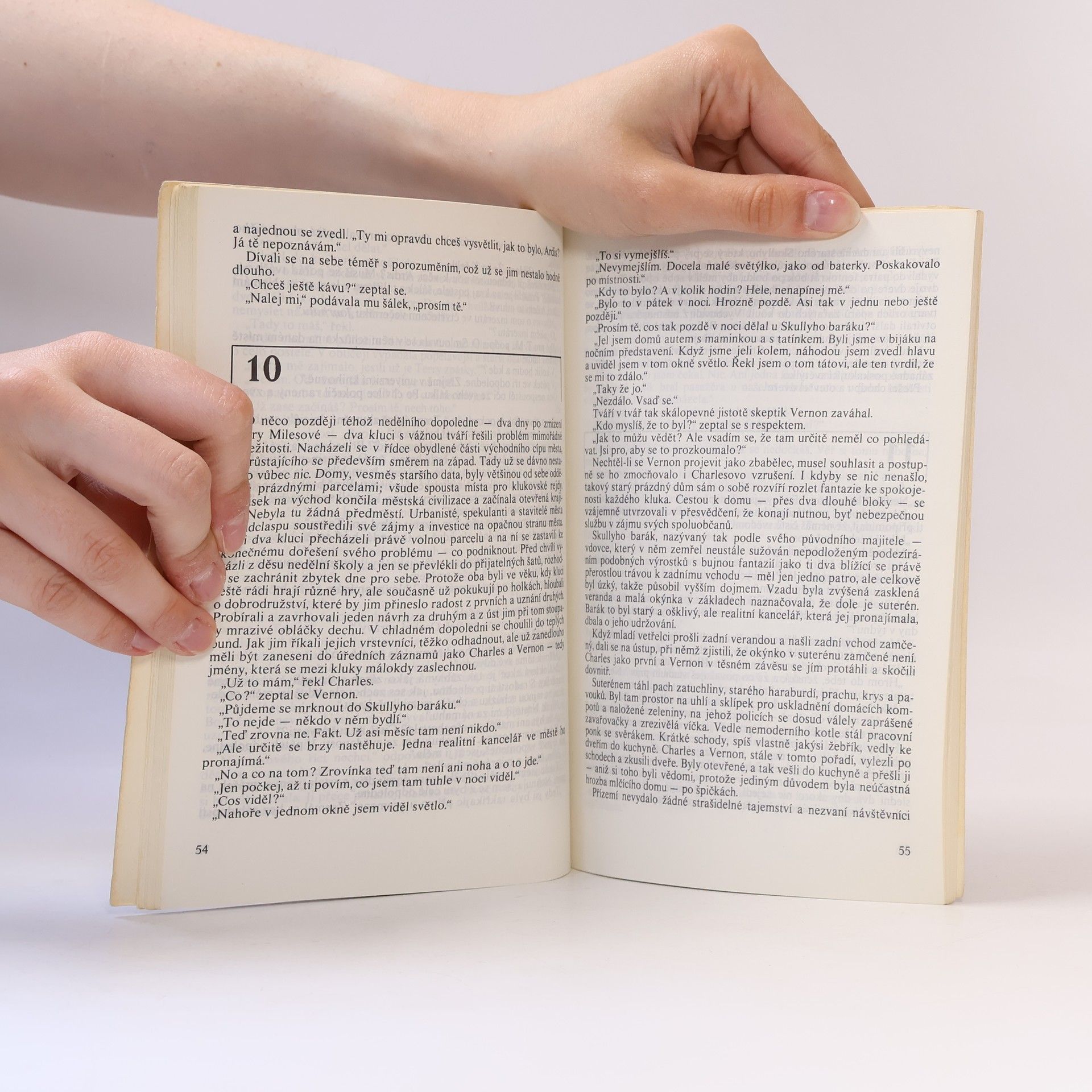 Jarmila Emmerová Ďábelské ragú