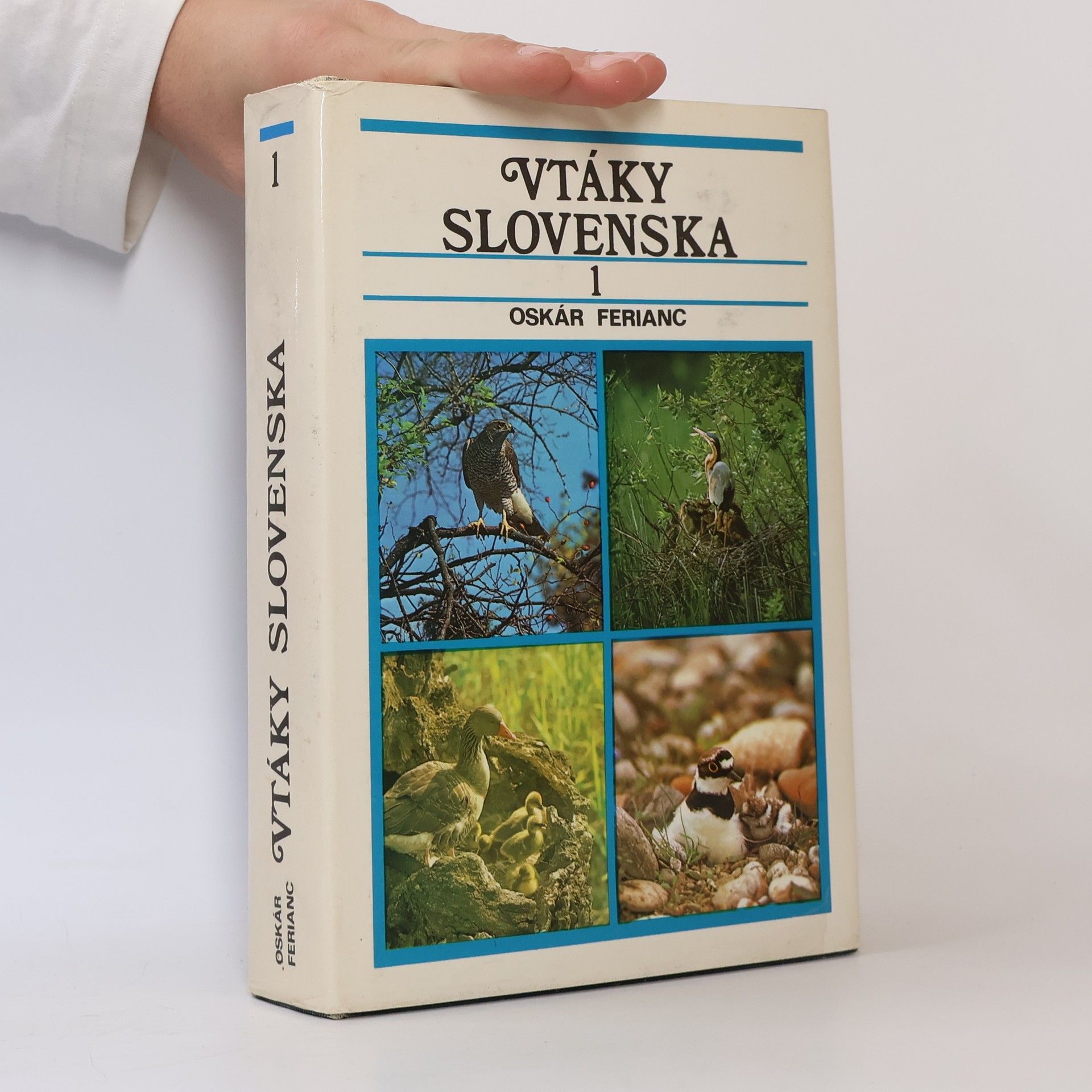 Vtáky slovenska 1
