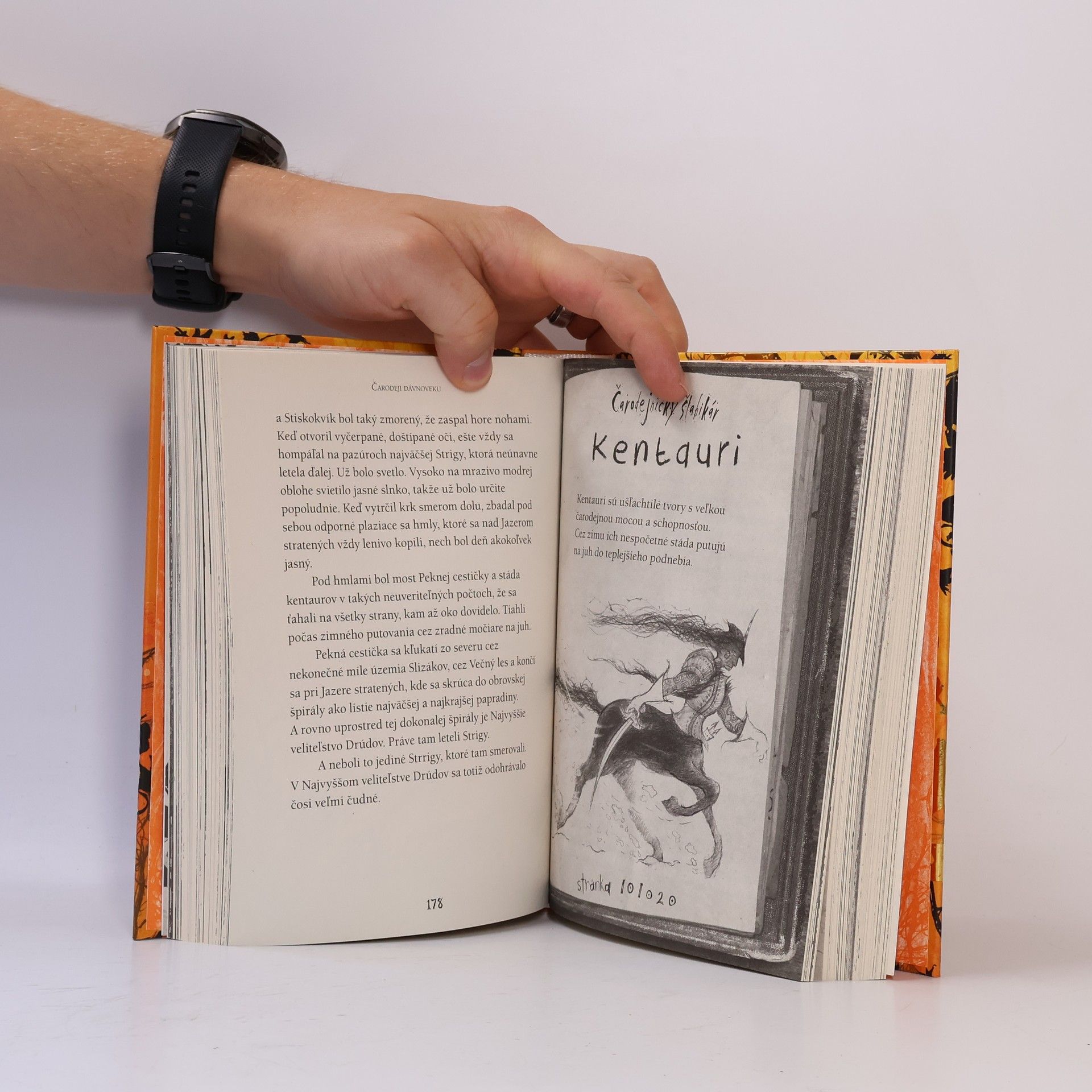 Cressida Cowell Nikdy a navždy