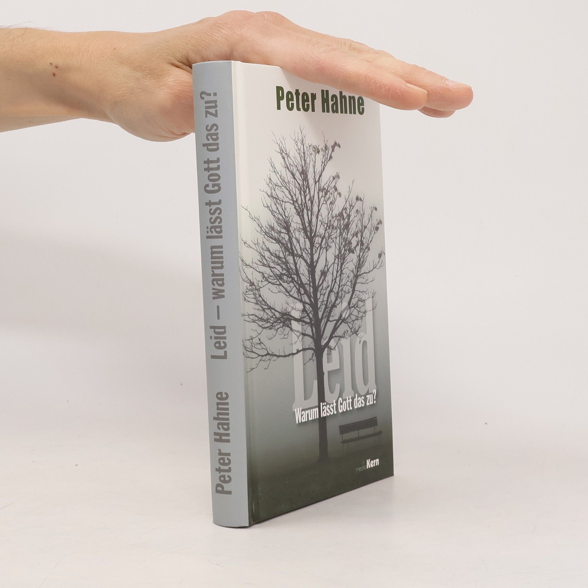 Peter Hahne Leid - Warum lässt Gott das zu?