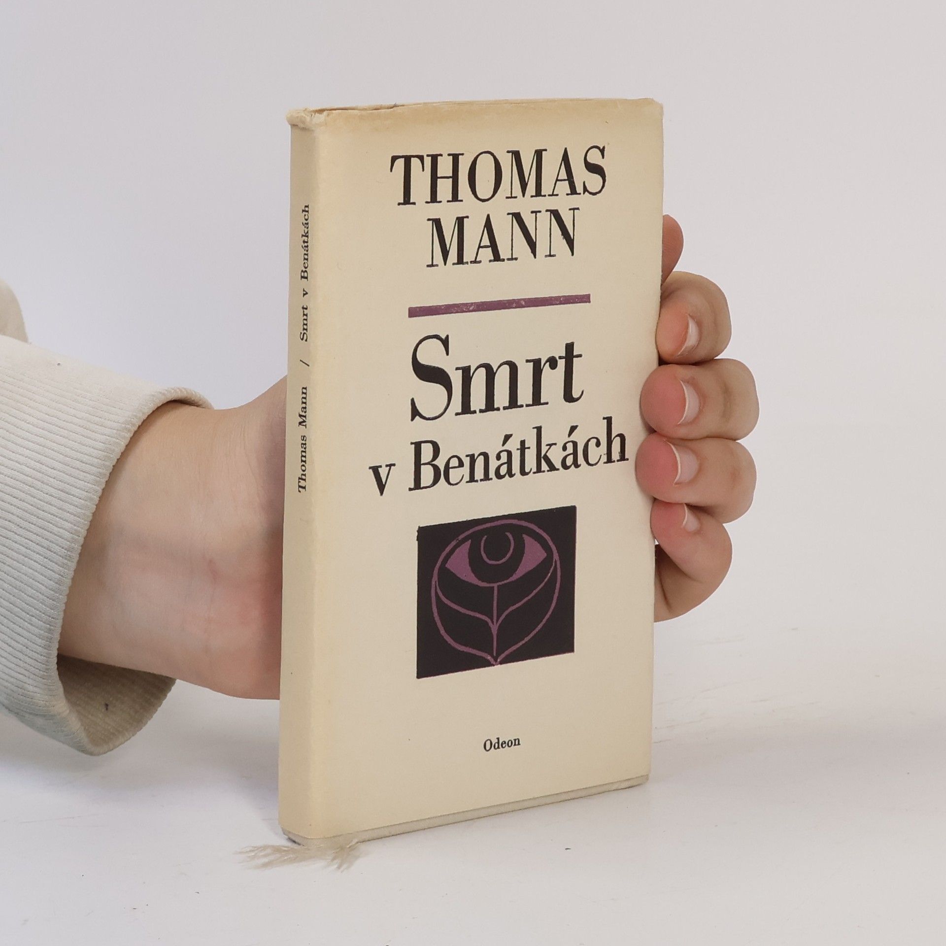Thomas Mann Smrt v Benátkách