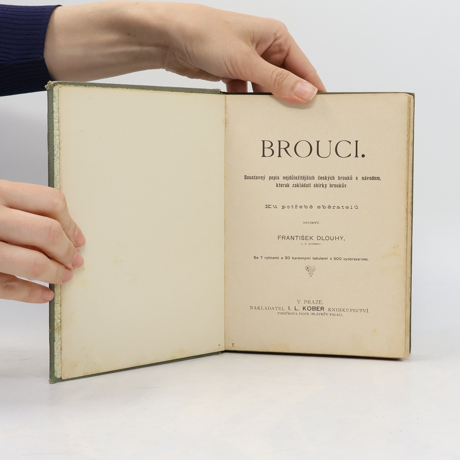 František Dlouhý Brouci