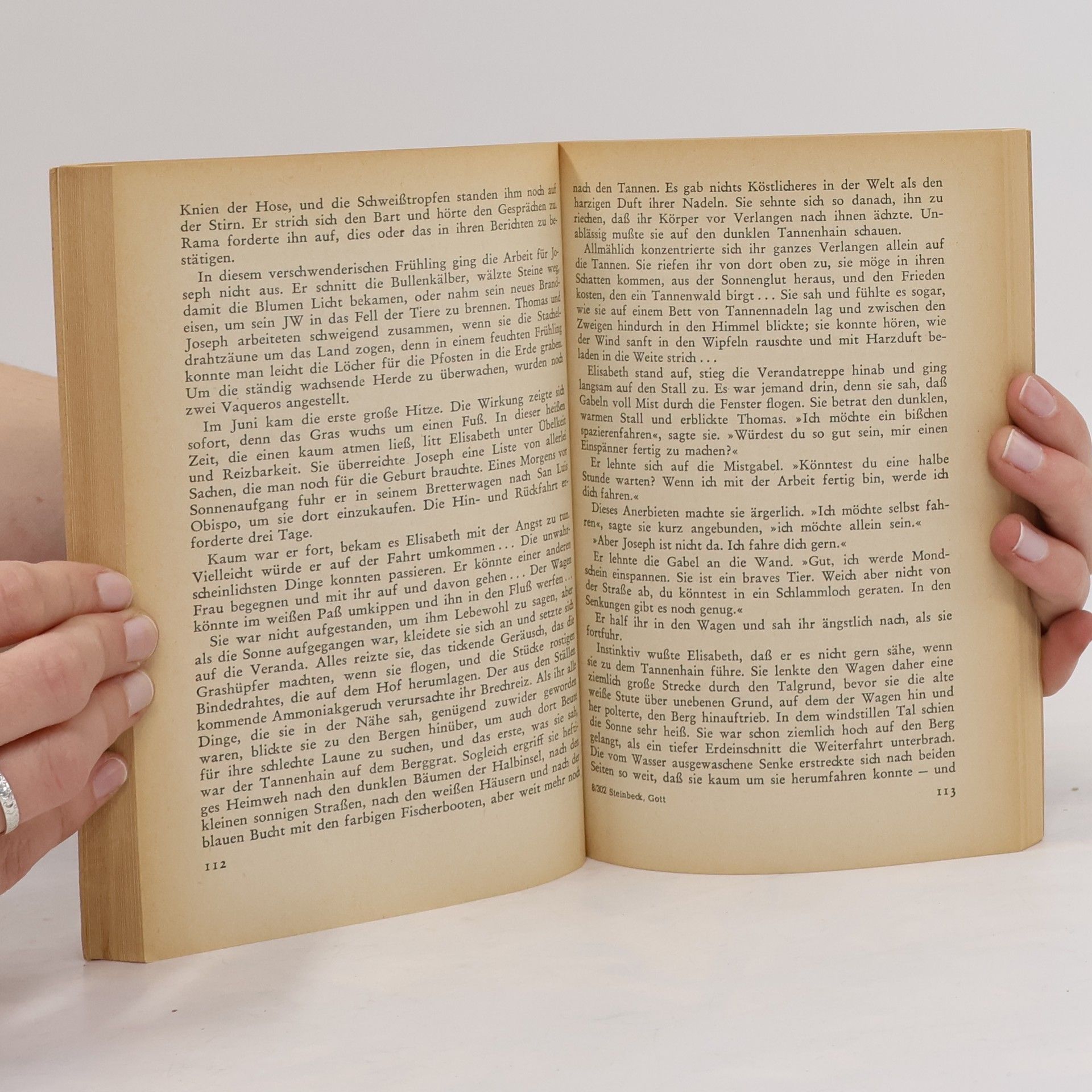 John Steinbeck Der Fremde Gott