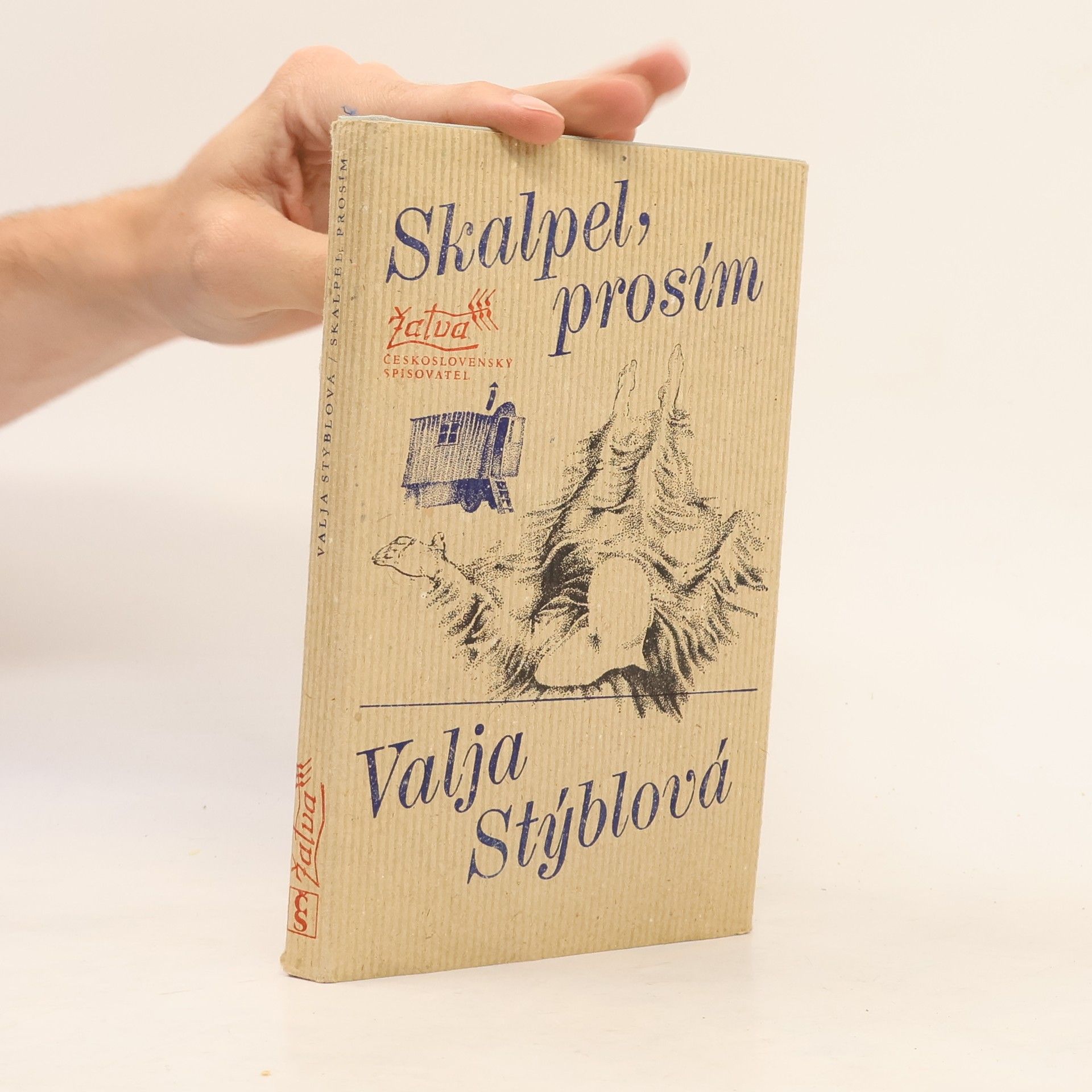 Valja Stýblová Skalpel, prosím
