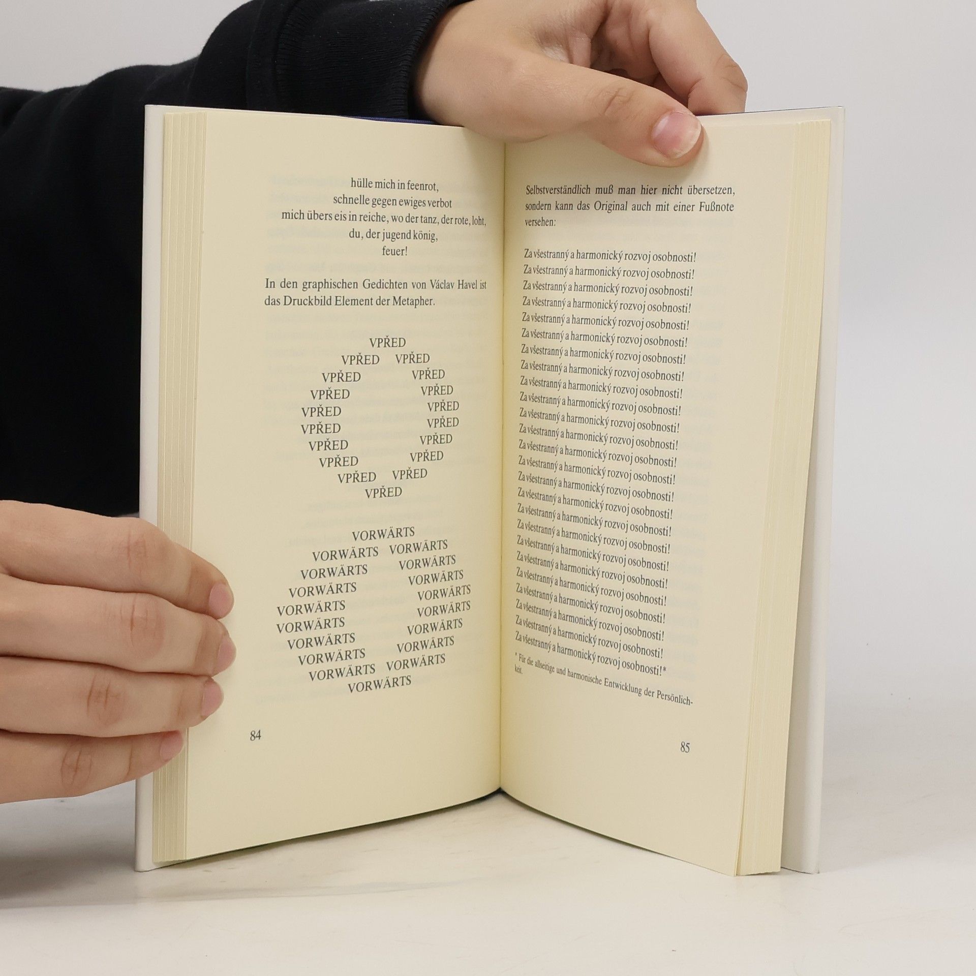 Reiner Kunze Das weisse Gedicht