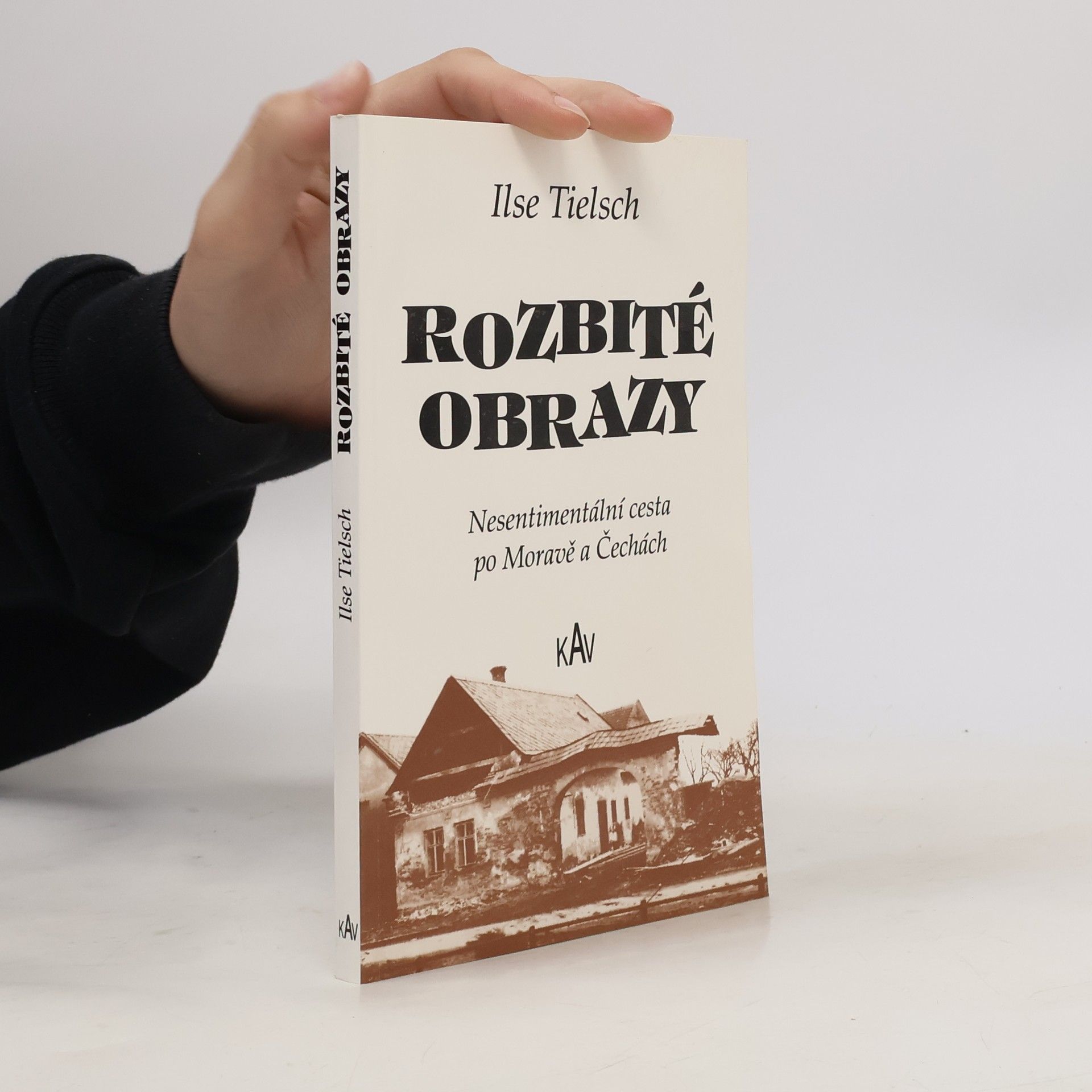 Ilse Tielsch Rozbité obrazy : nesentimentální cesta po Moravě a Čechách