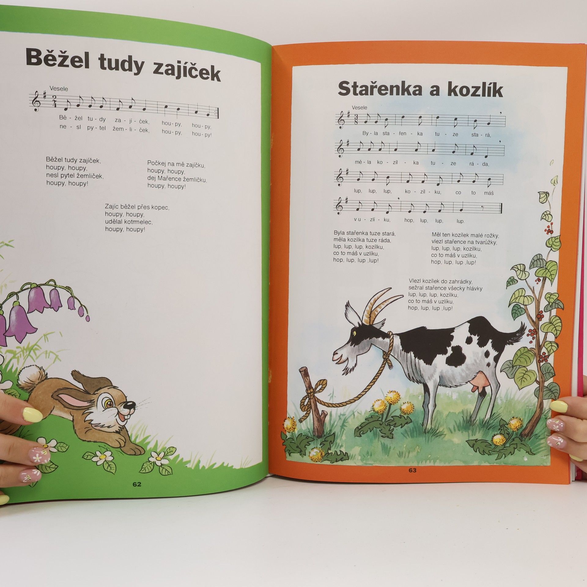 Zsuzsa Füzesi Velká knížka předškoláka : země divů