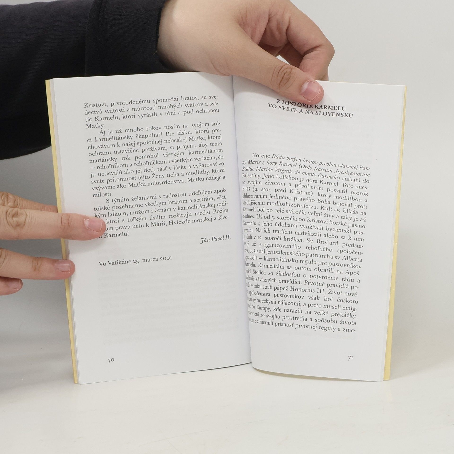 Autorenkollektiv Pod ochranou škapuliara