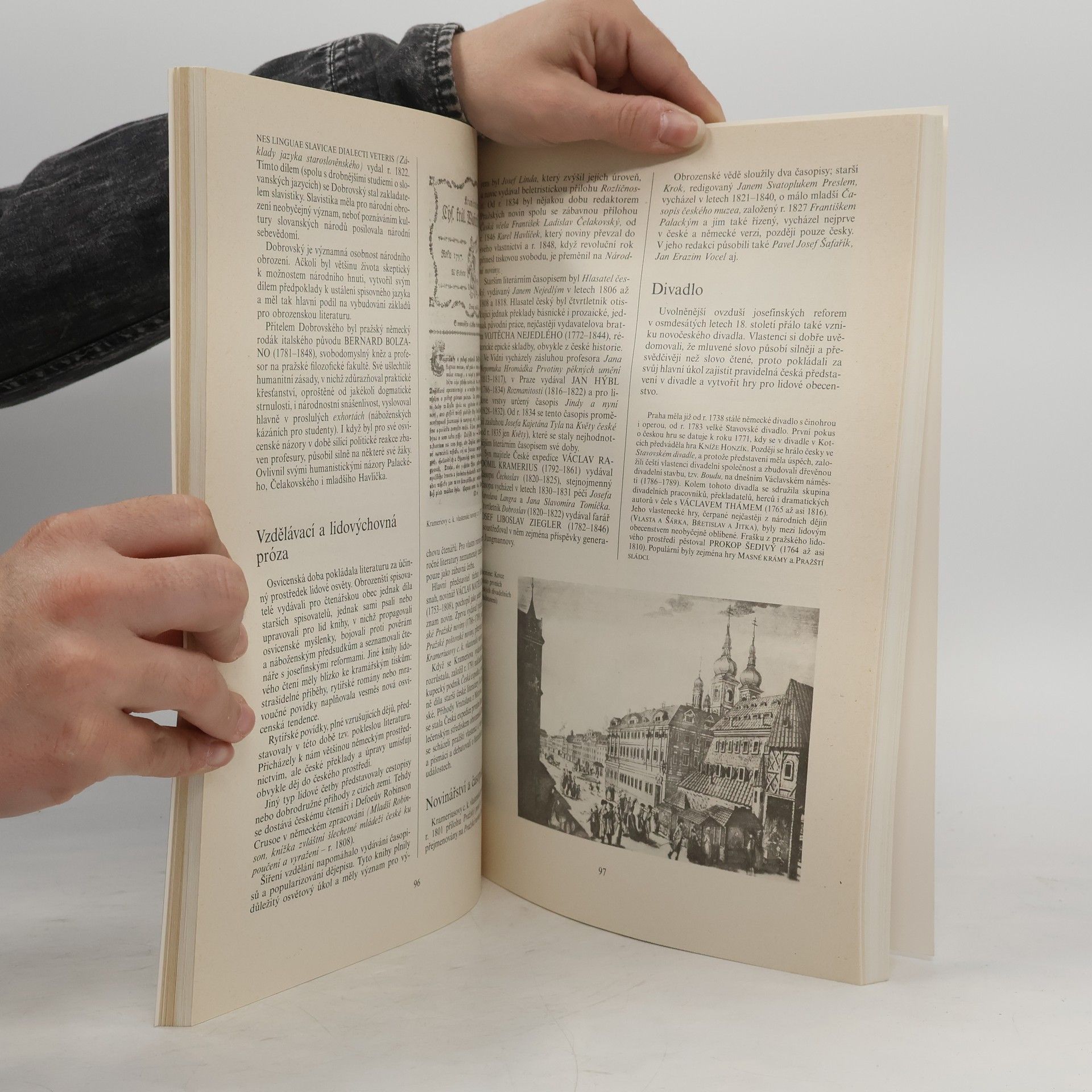 Bohumil Balajka Přehledné dějiny literatury I. do devadesátých let 19. století