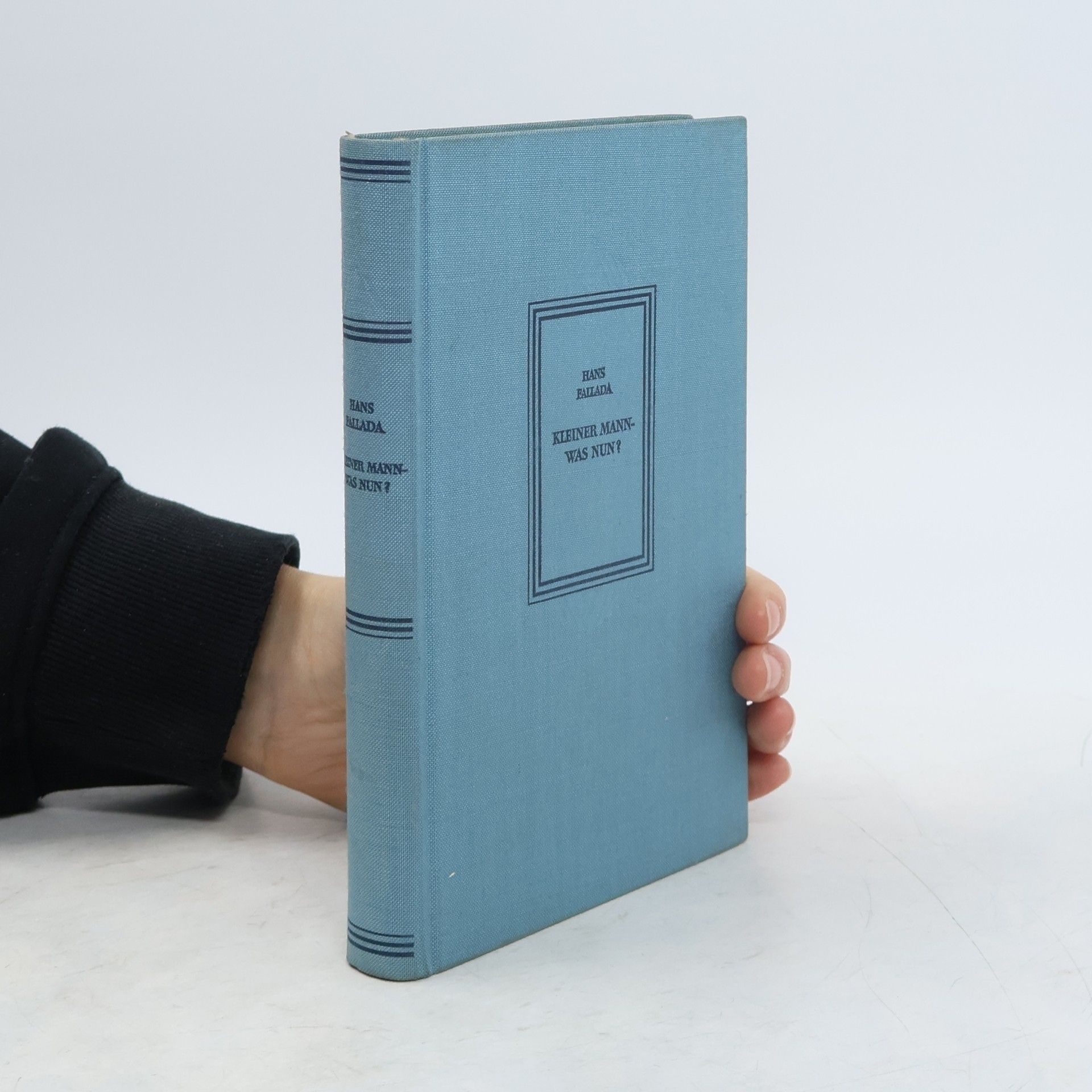 Hans Fallada Kleiner Mann - was nun?