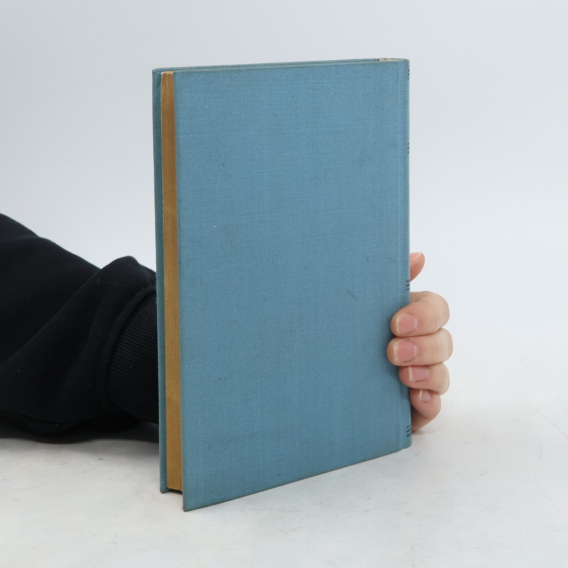 Hans Fallada Kleiner Mann - was nun?
