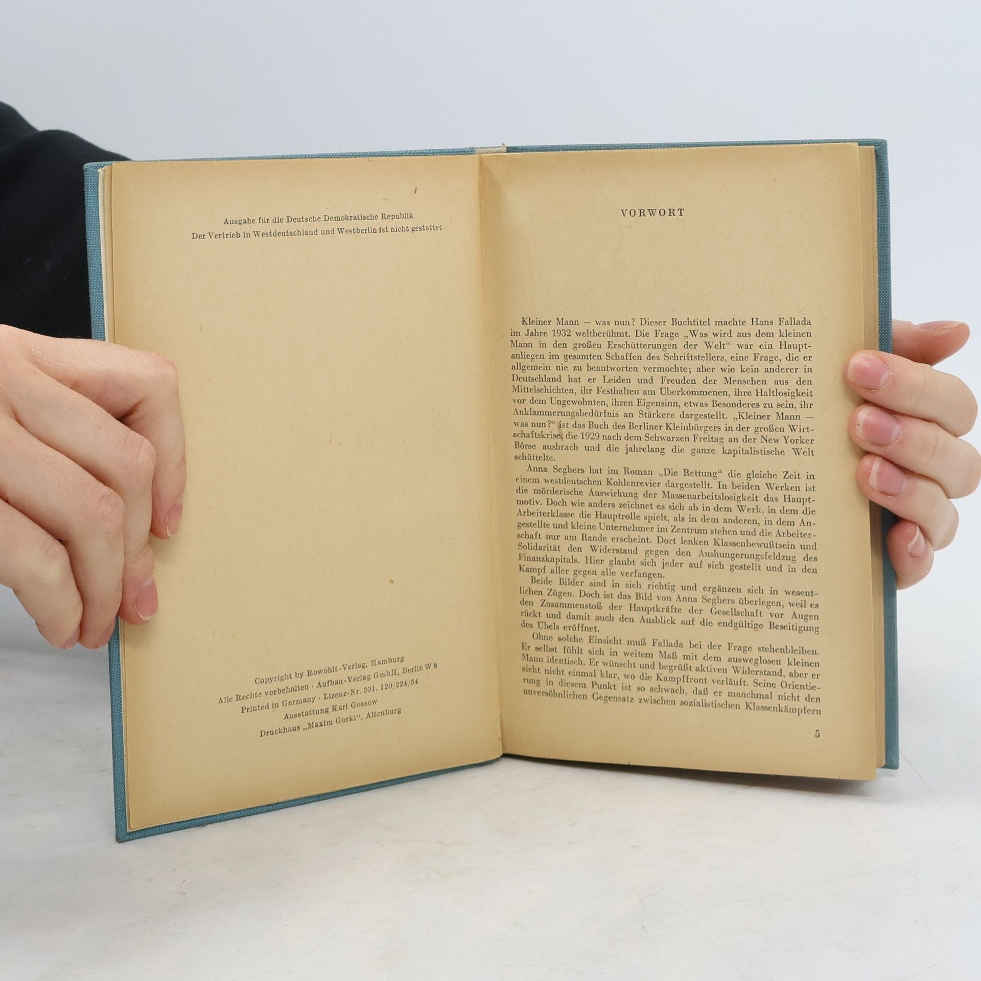 Hans Fallada Kleiner Mann - was nun?