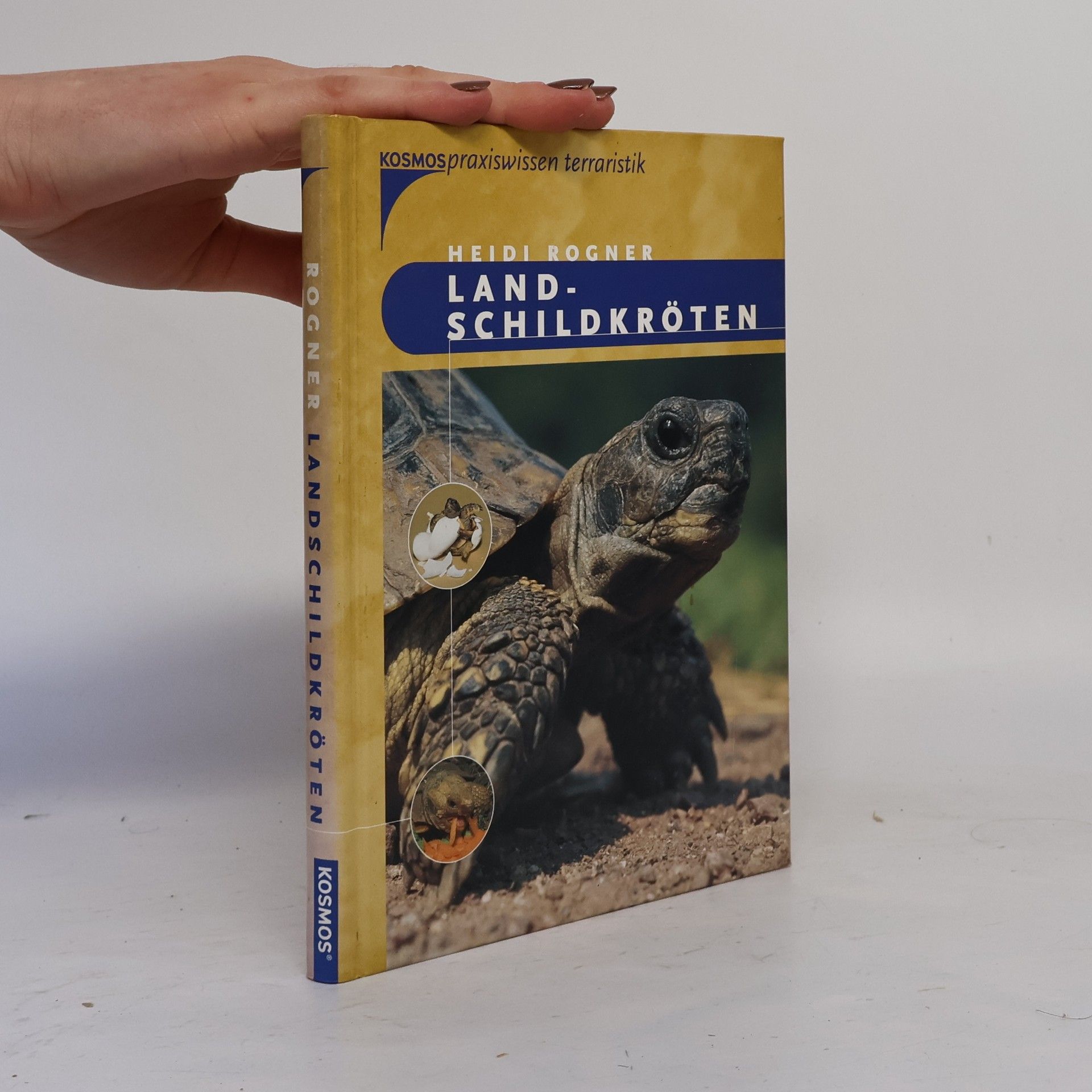 Heidi Rogner Landschildkröten