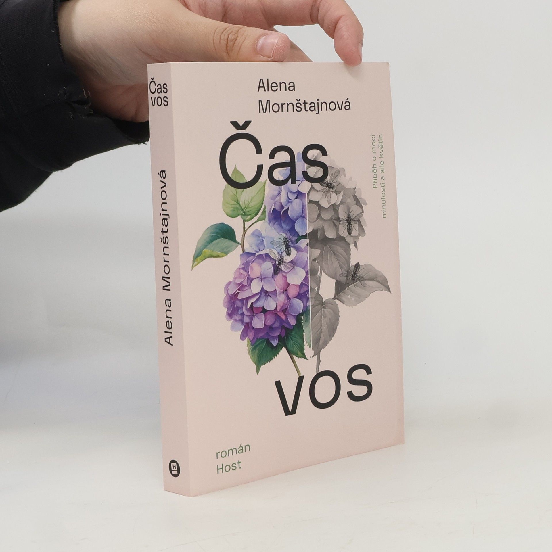 Alena Mornštajnová Čas vos