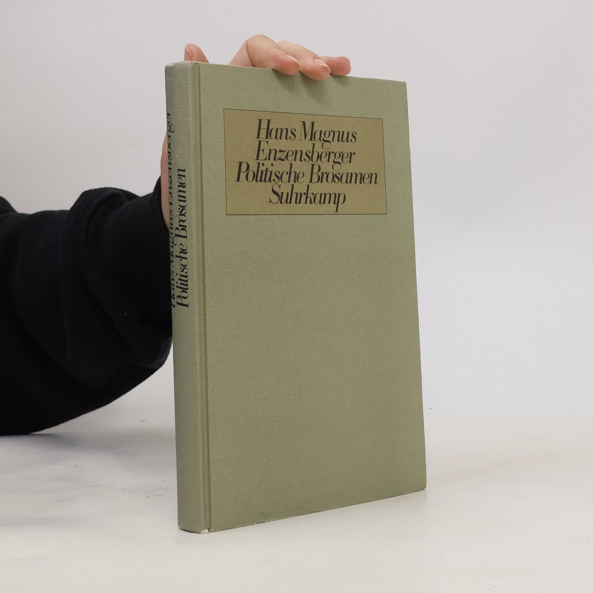 Hans Magnus Enzensberger Politische Brosamen