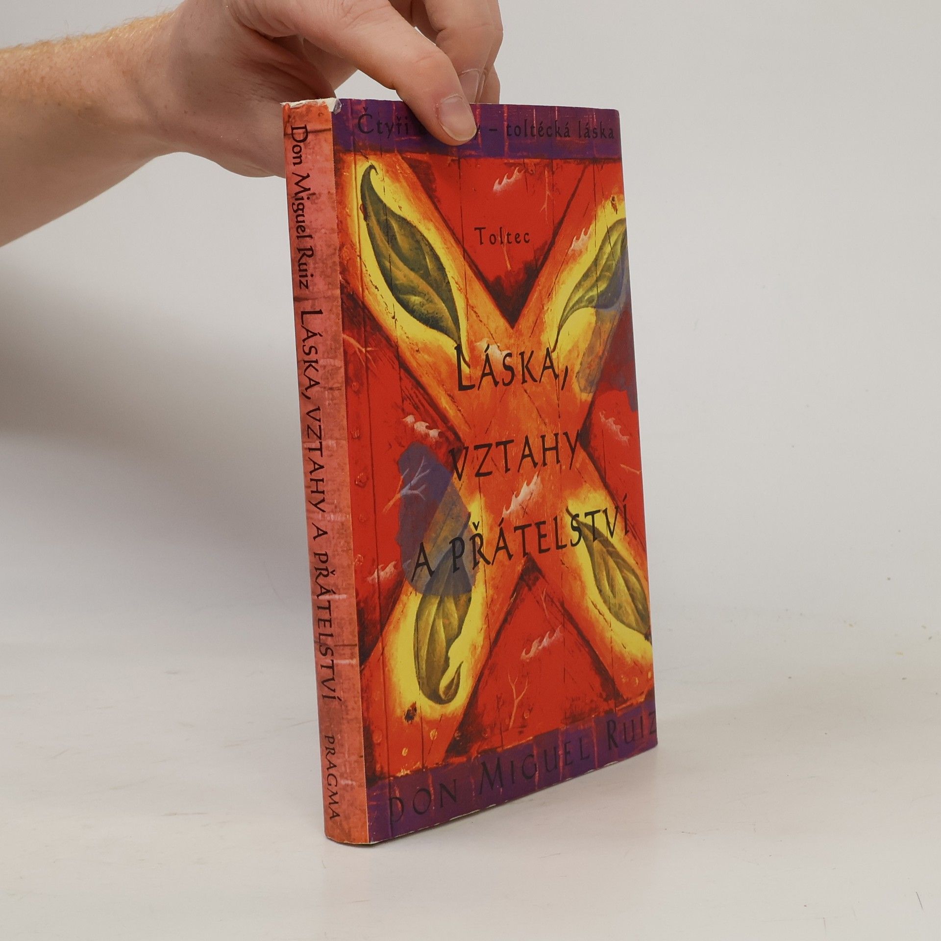 Don Miguel Ruiz Láska, vztahy a přátelství