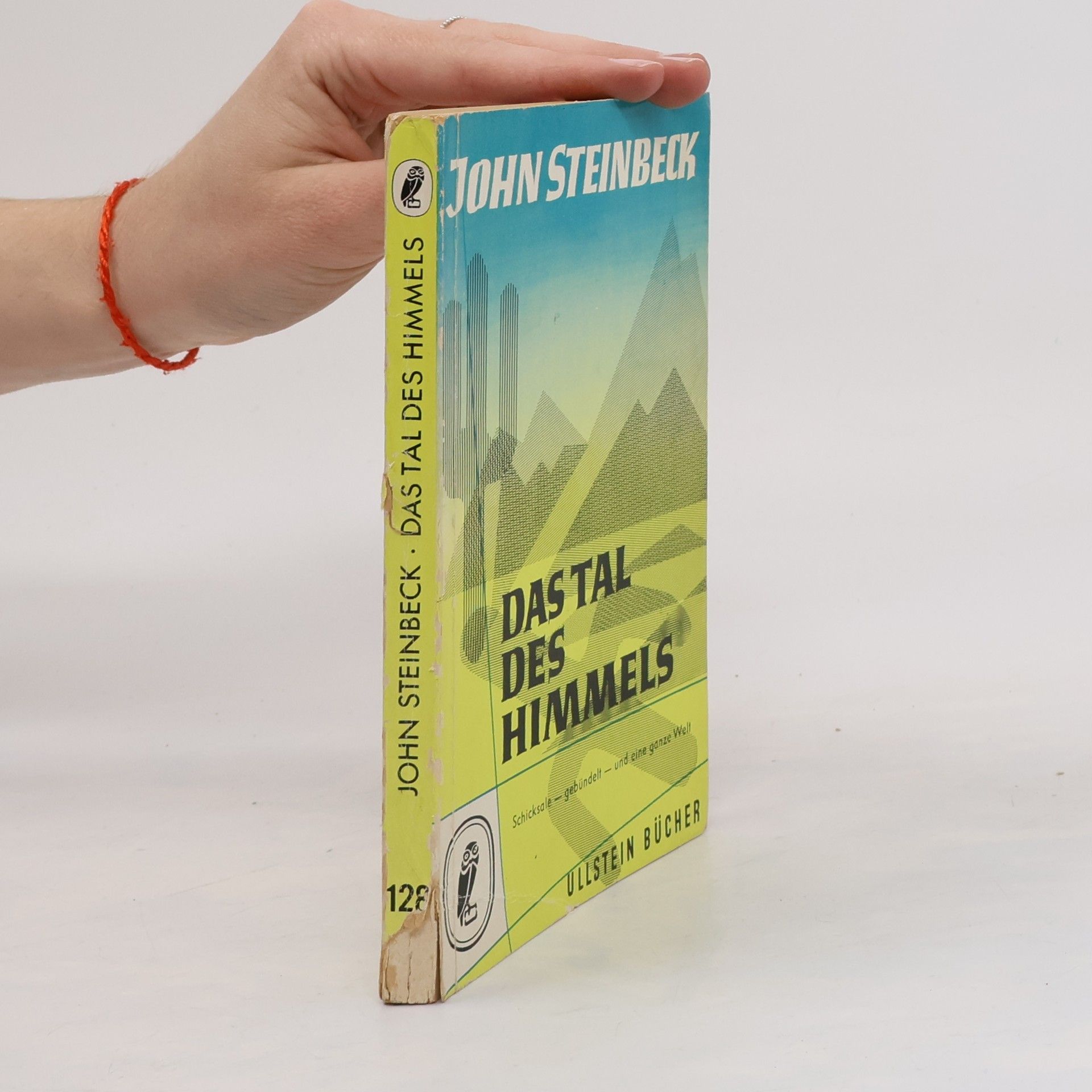 John Steinbeck Das Tal des Himmels