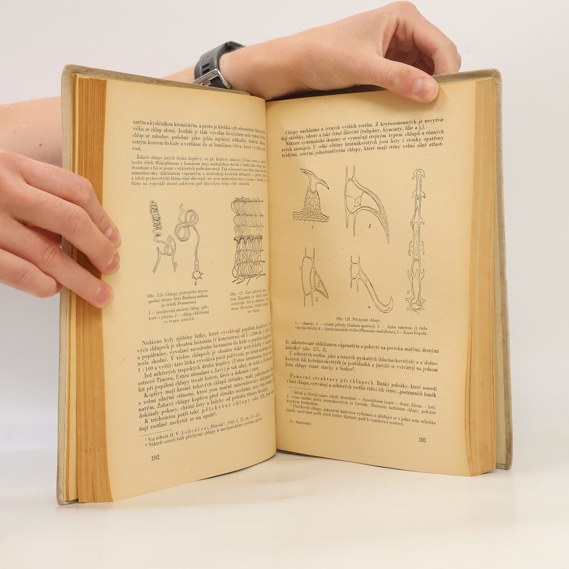 V. F. Razdorskij Anatomie rostlin