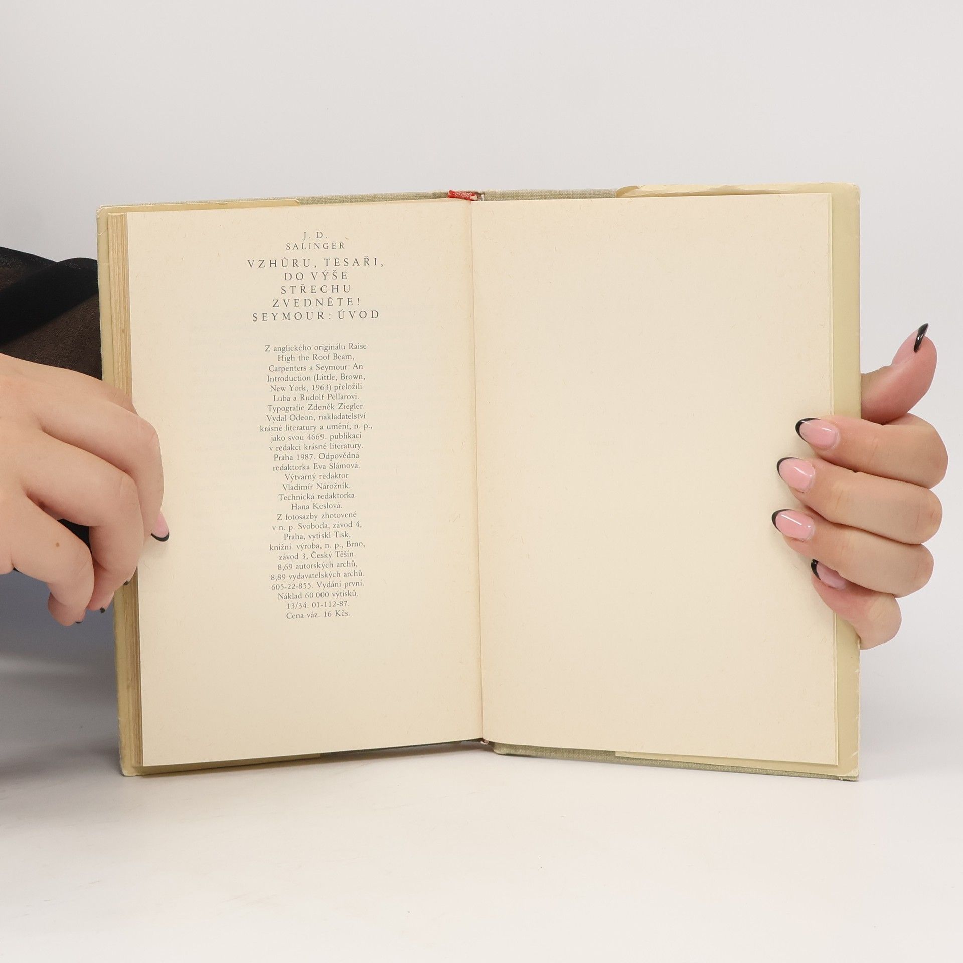 J. D. Salinger Vzhůru, tesaři, do výše střechu zvedněte! Úvod