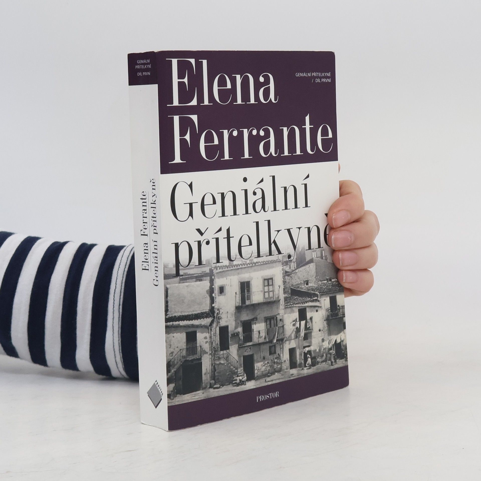 Elena Ferrante Geniální přítelkyně 1. Dětství a dospívání