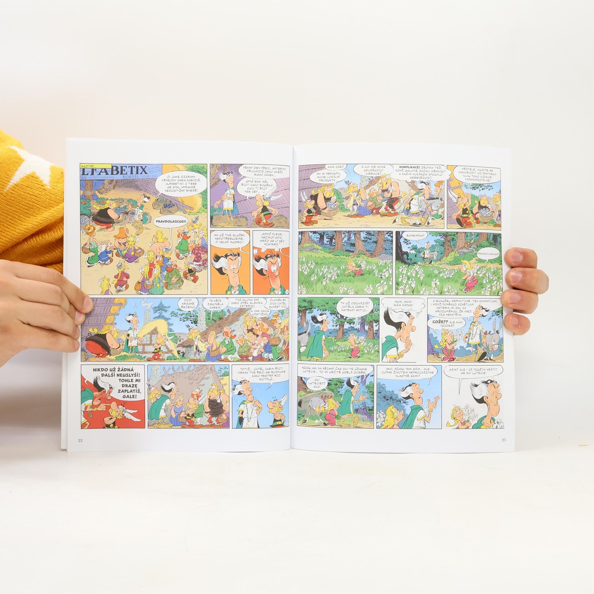 Fabcaro Asterix 40 - Bílý kosatec