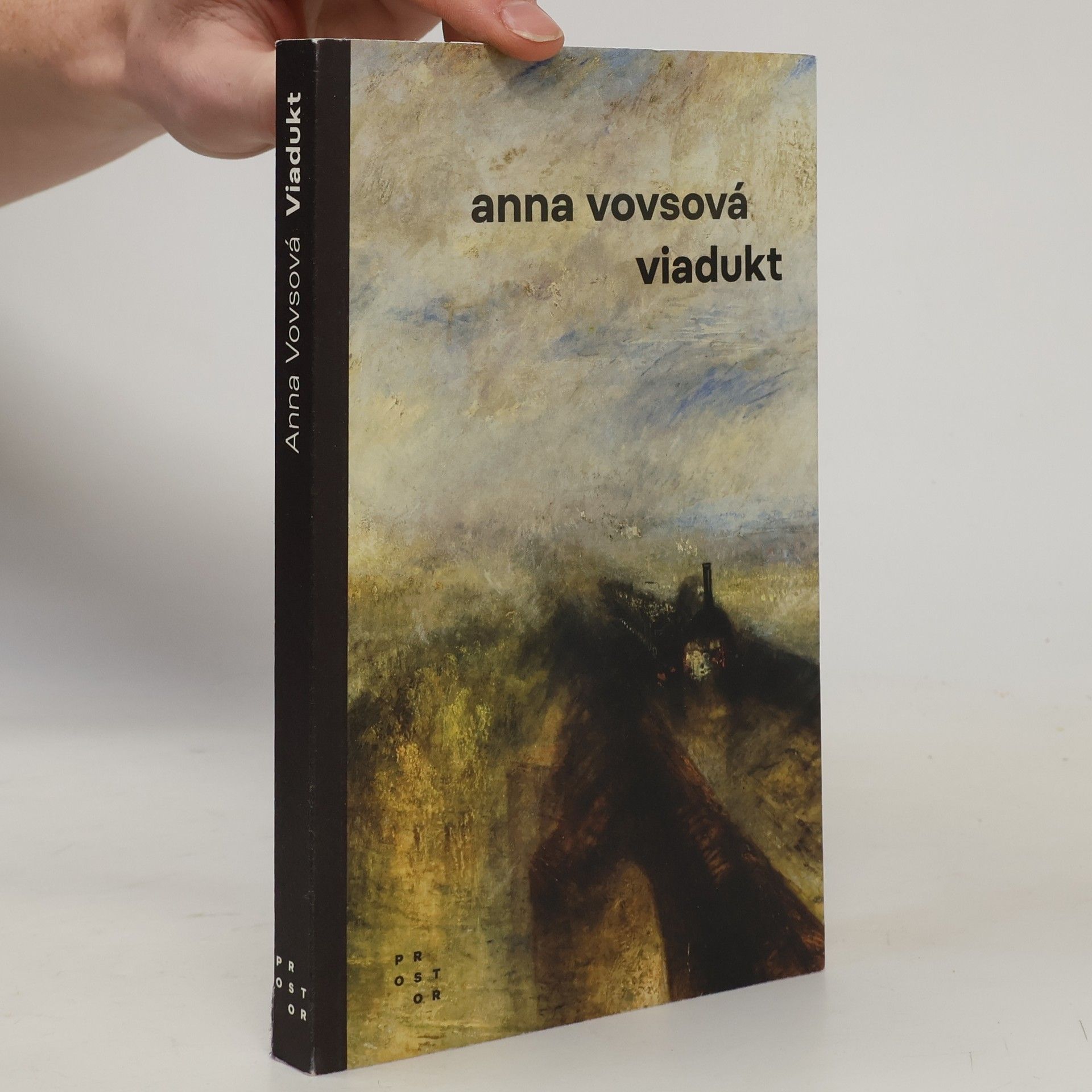 Anna Vovsová Viadukt