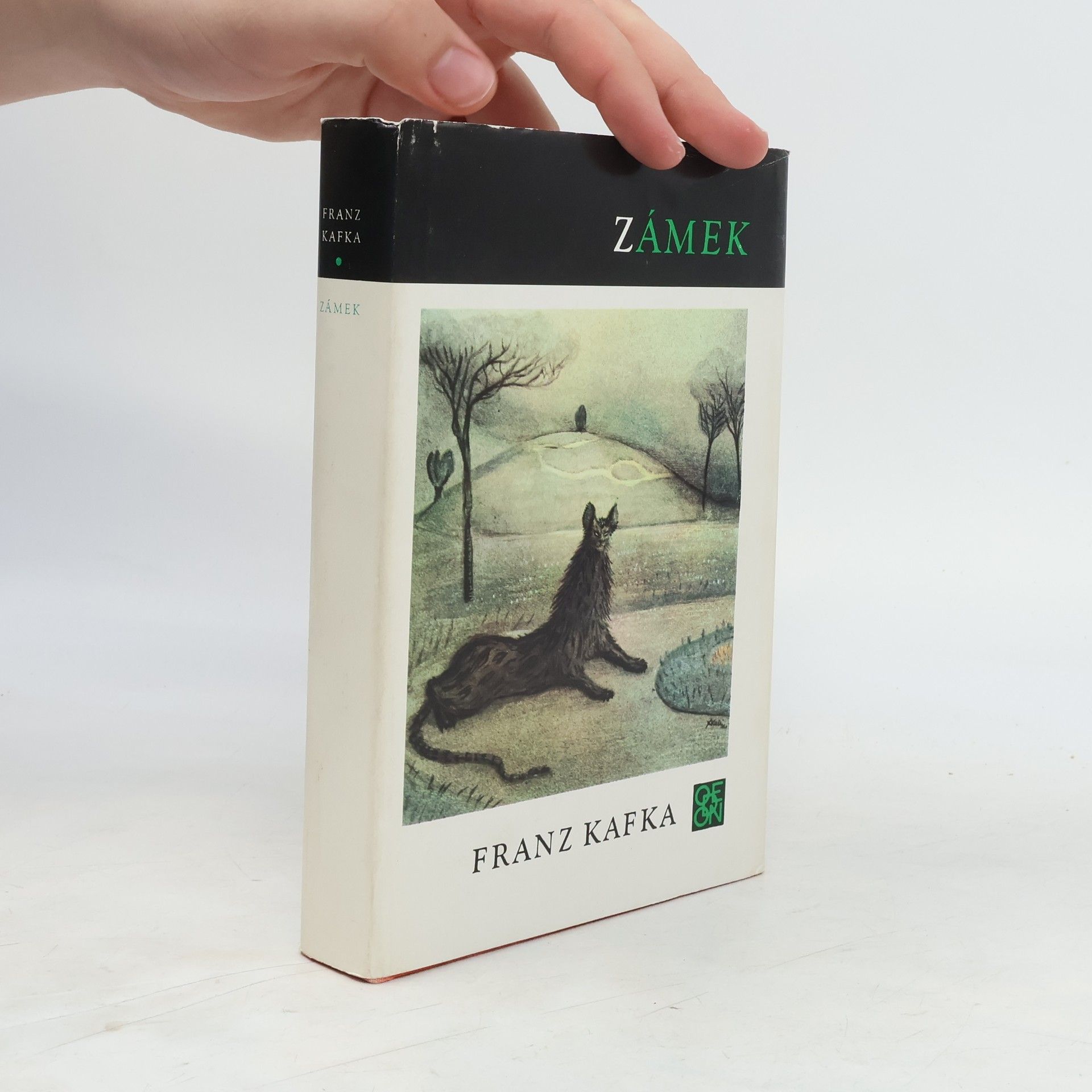 Franz Kafka Zámek