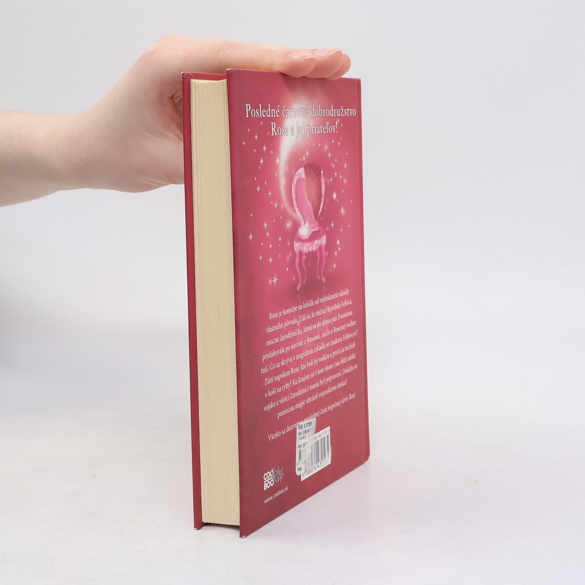Holly Webb Rose a strieborný duch