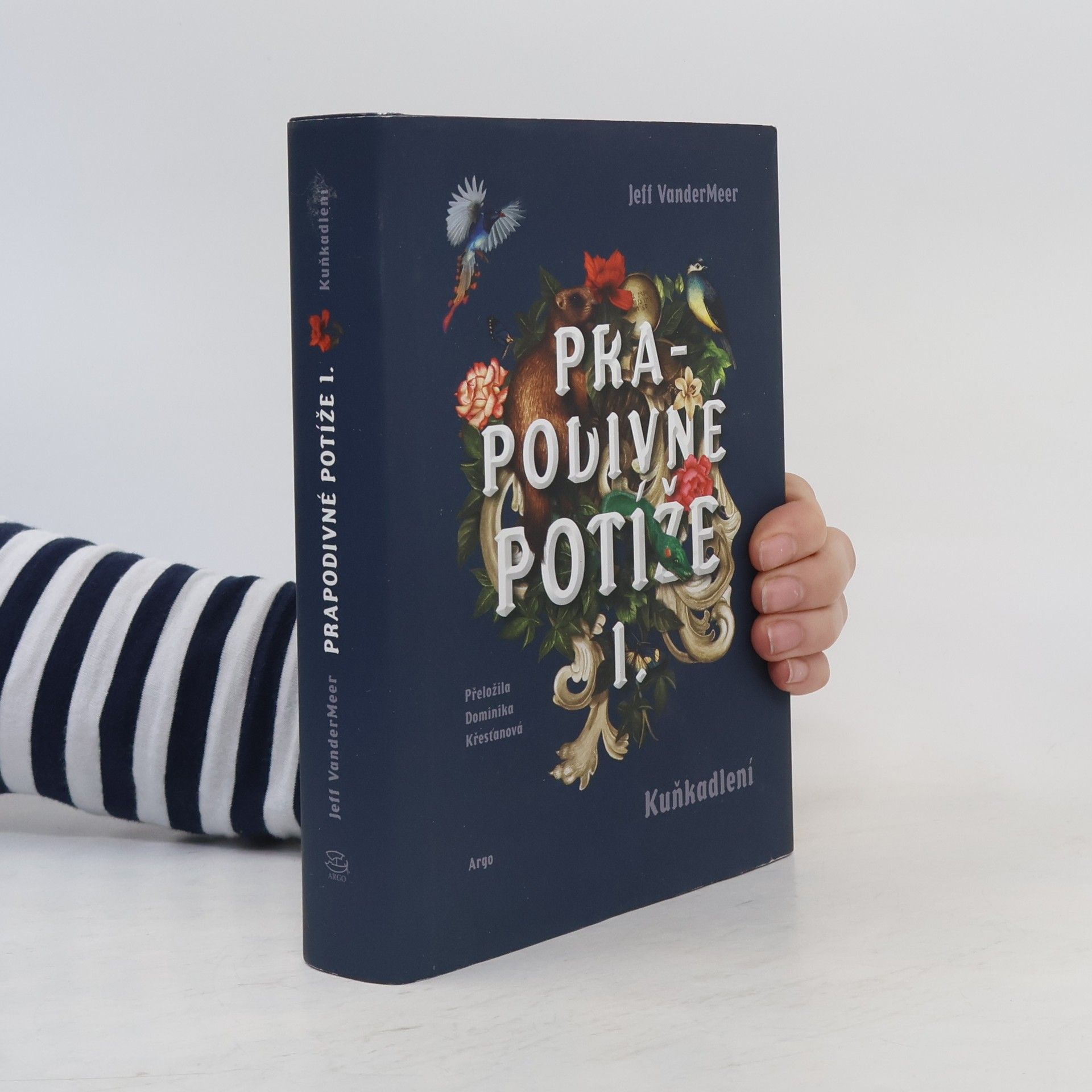 Jeff VanderMeer Prapodivné potíže: Útrapy a ústrky Jonathana Lambsheada