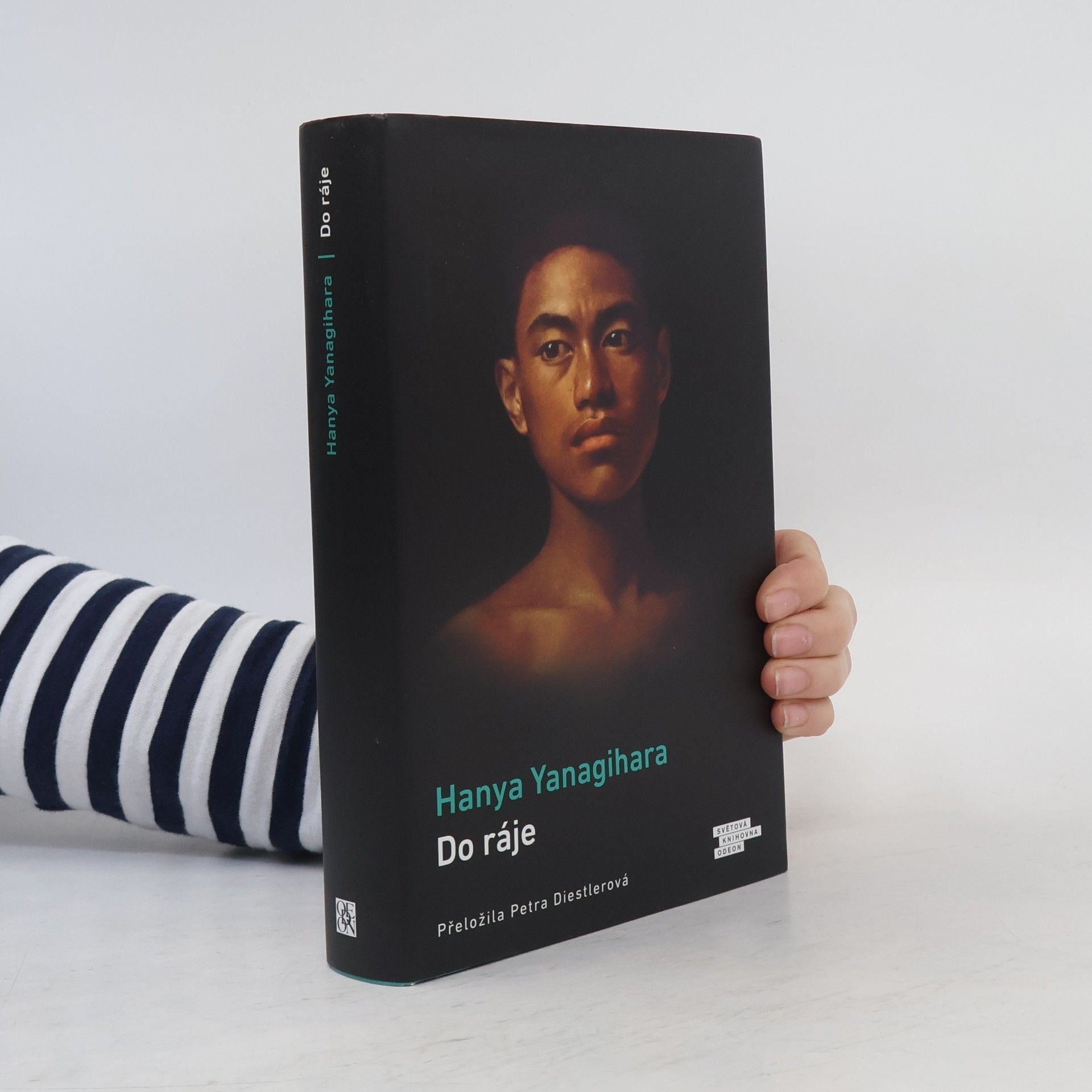 Hanya Yanagihara Do ráje