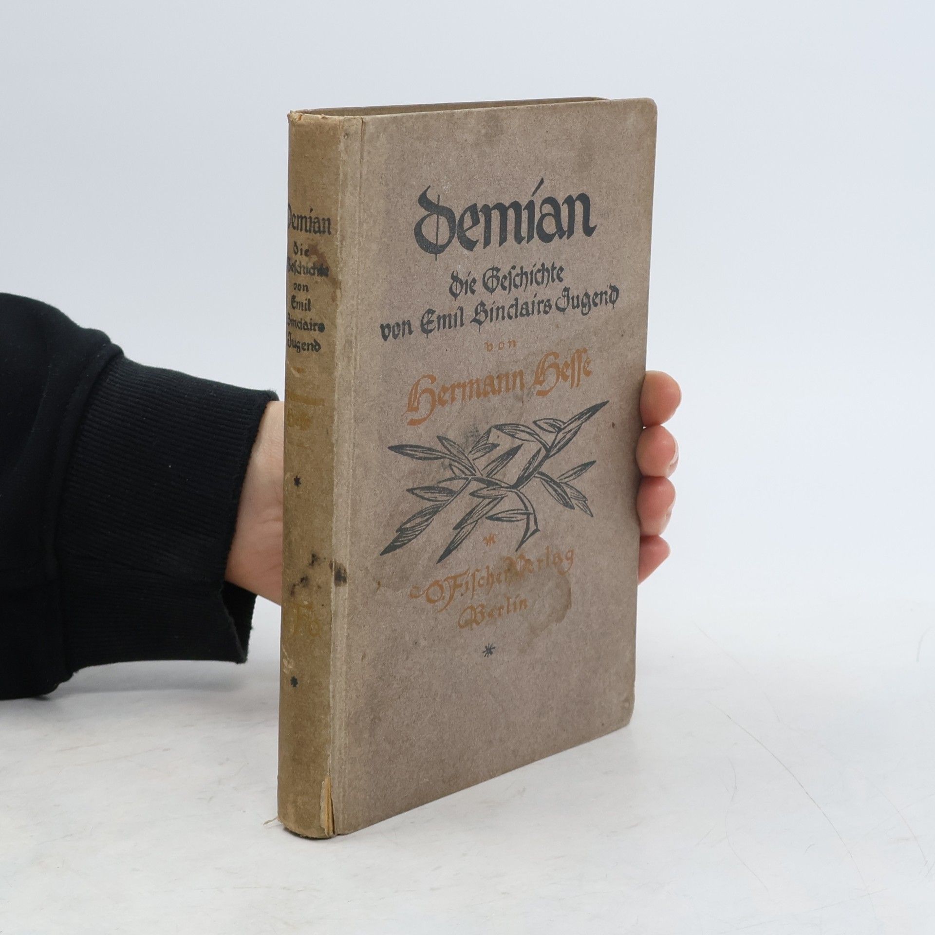 Hermann Hesse Demian Die Geschichte von Emil Bindairs Jugend