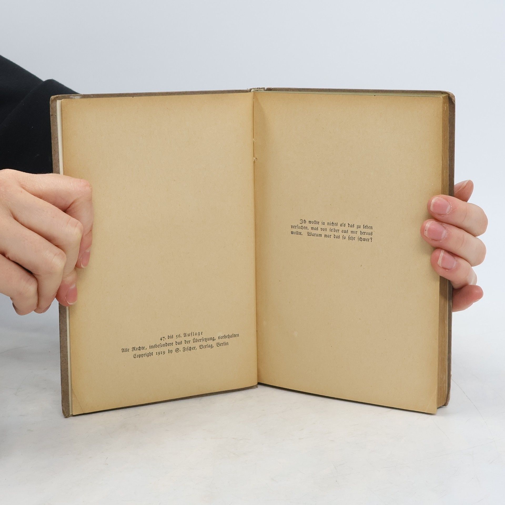 Hermann Hesse Demian Die Geschichte von Emil Bindairs Jugend