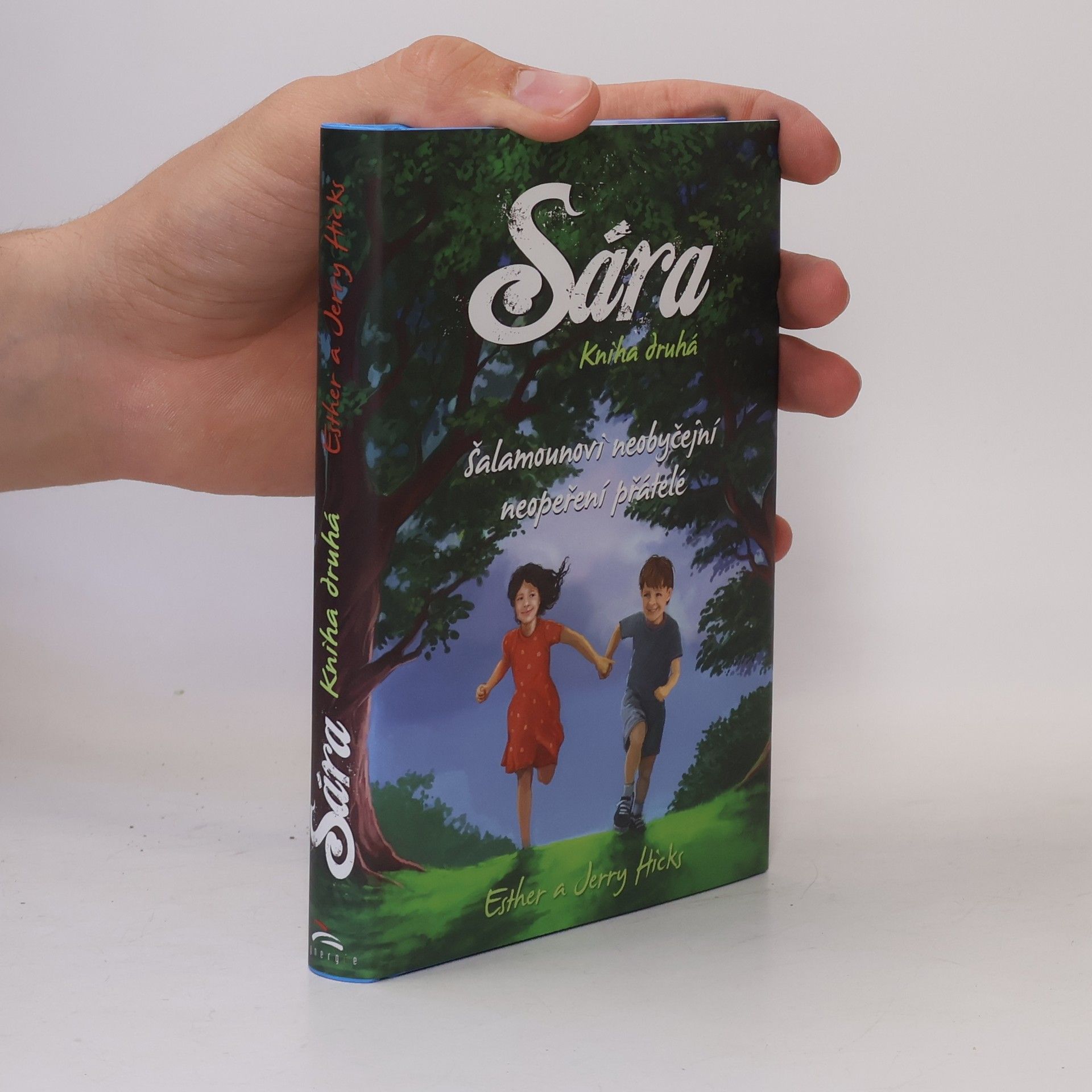 Esther Hicks Sára. Kniha druhá, Šalamounovi neobyčejní neopeření přátelé