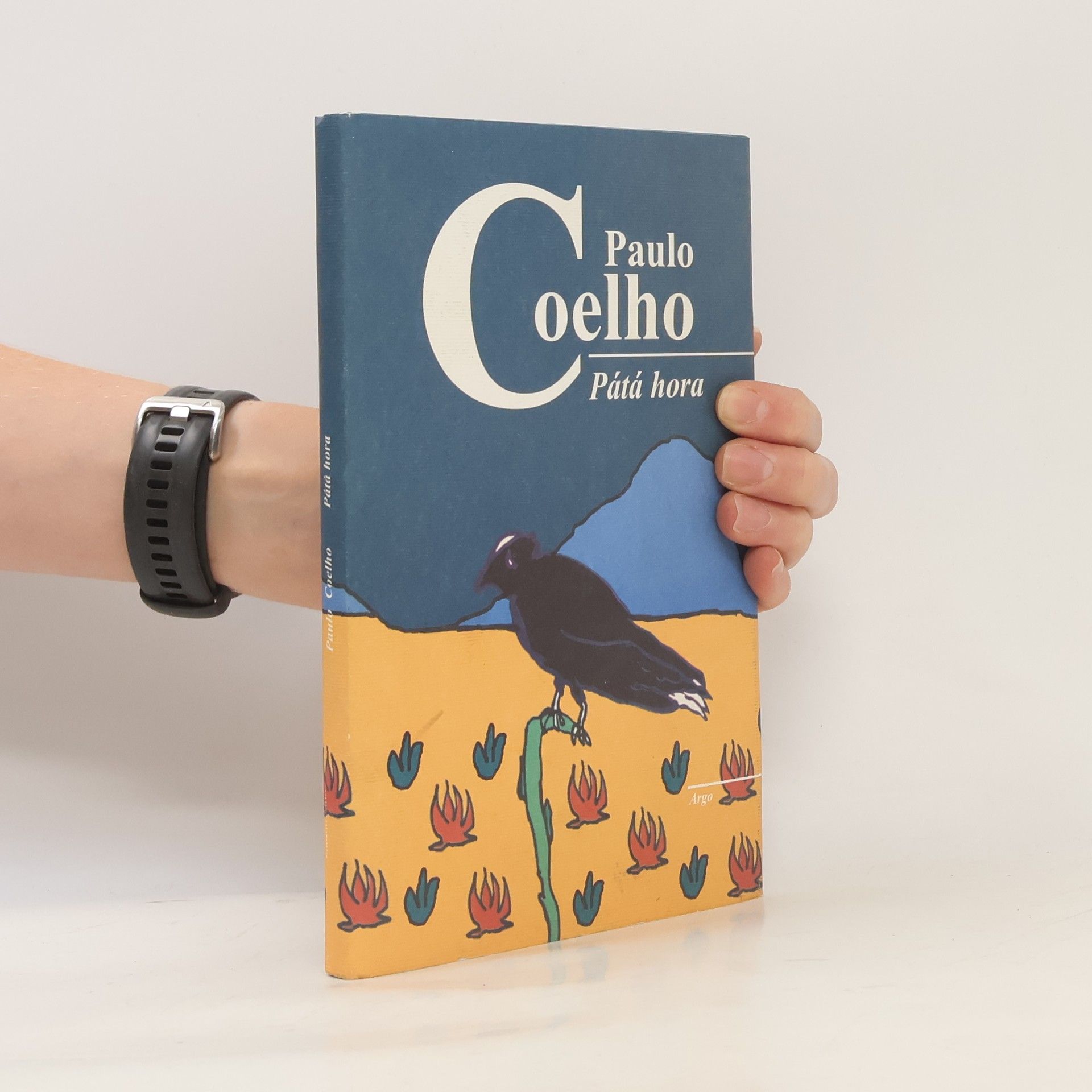 Paulo Coelho Pátá hora