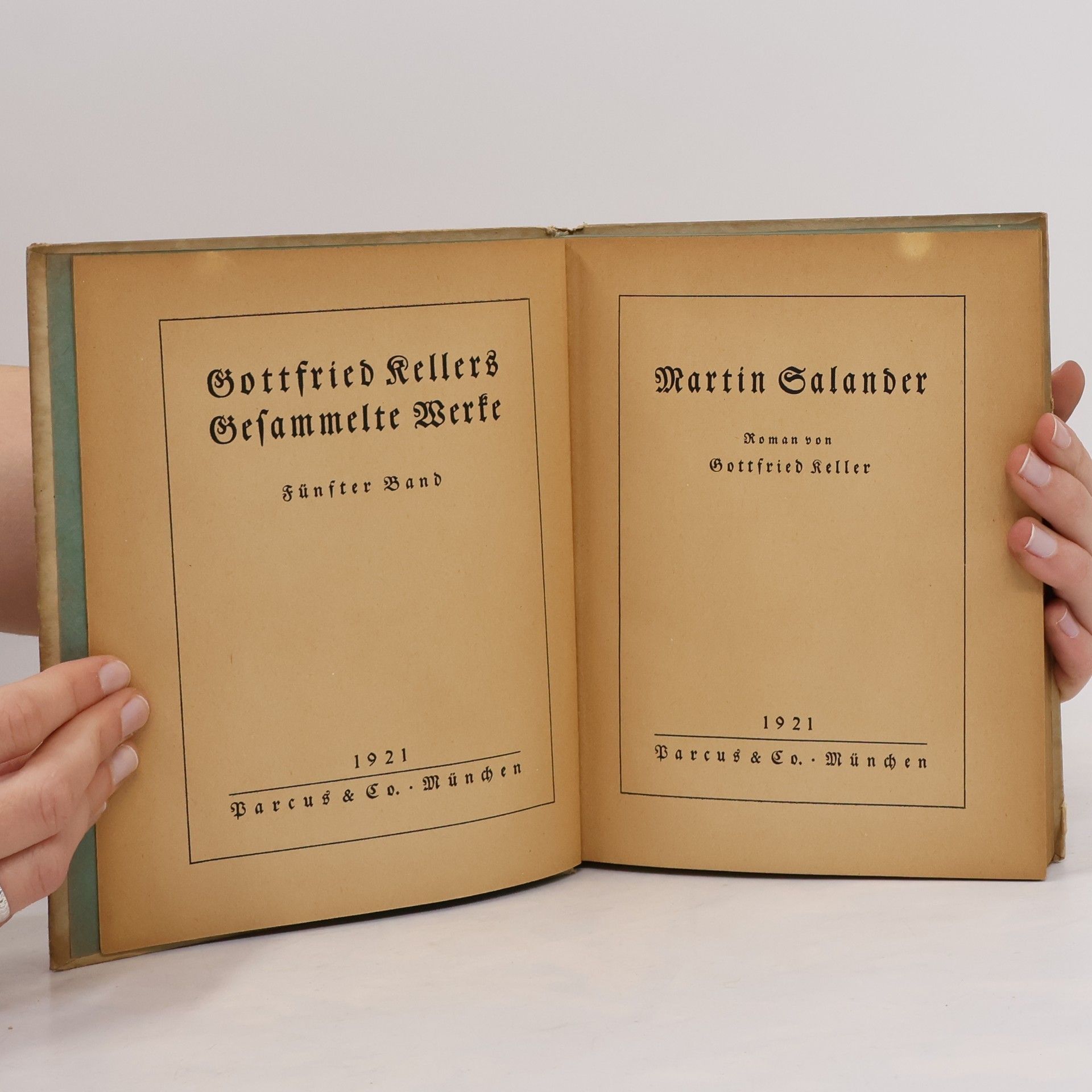 Gottfried Keller Martin Salander