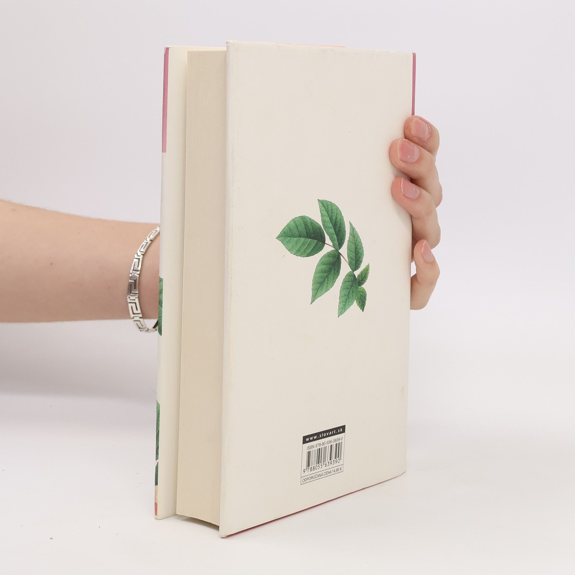Jane Austen Pýcha a predsudok