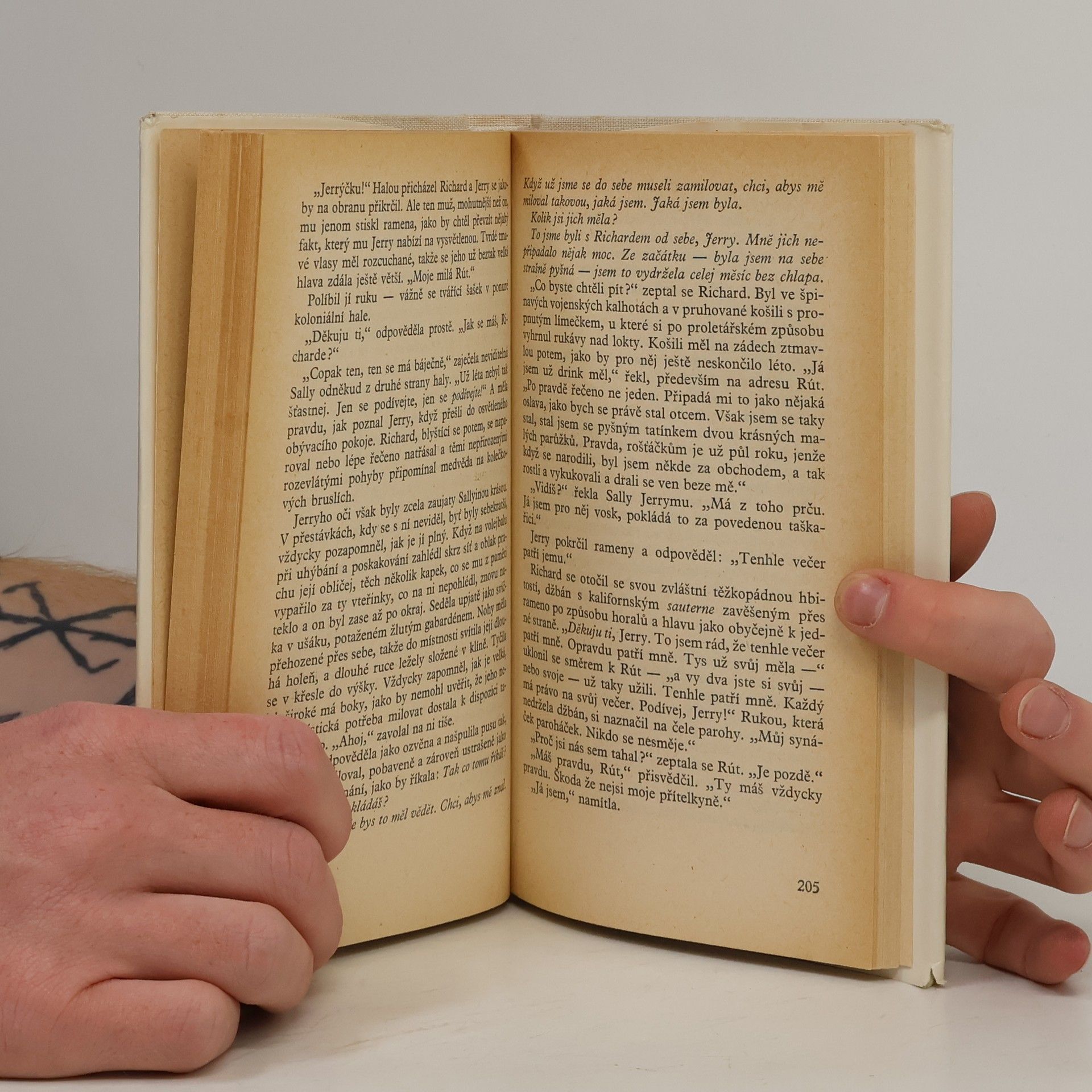 John Updike Chceš si mě vzít?