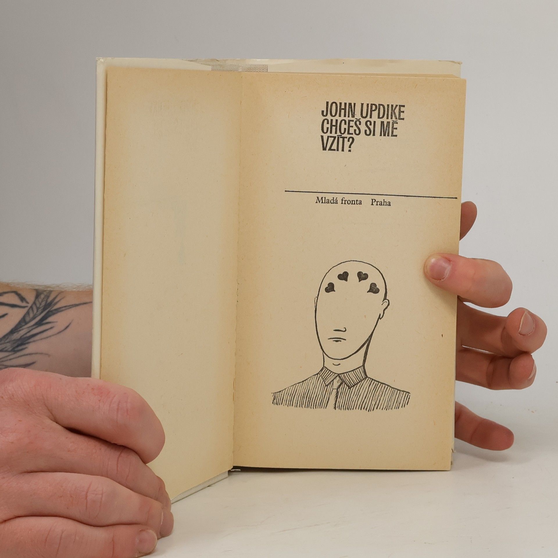 John Updike Chceš si mě vzít?