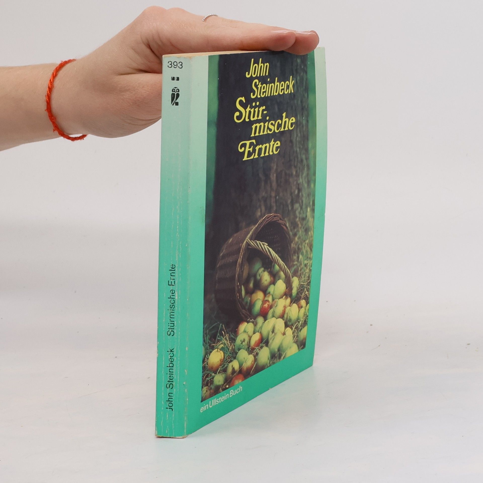 John Steinbeck Stürmische Ernte