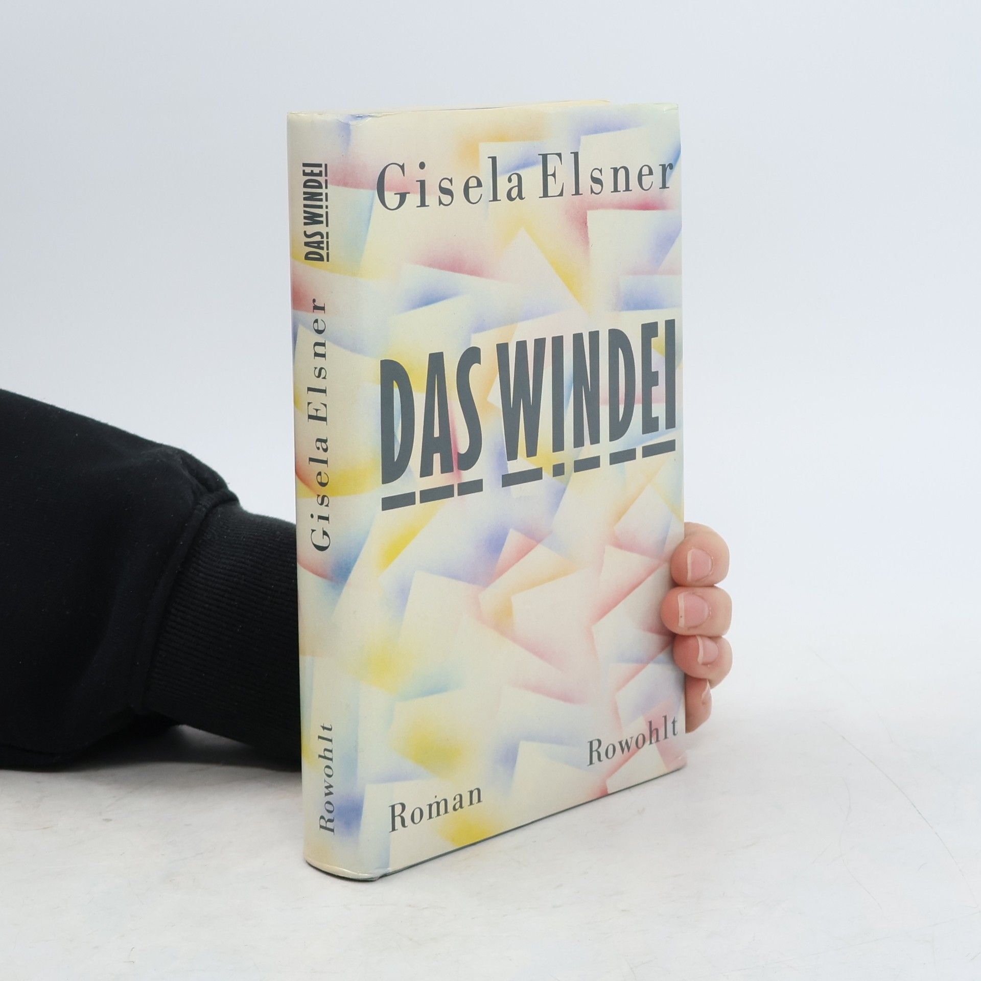 Das Windei. Roman