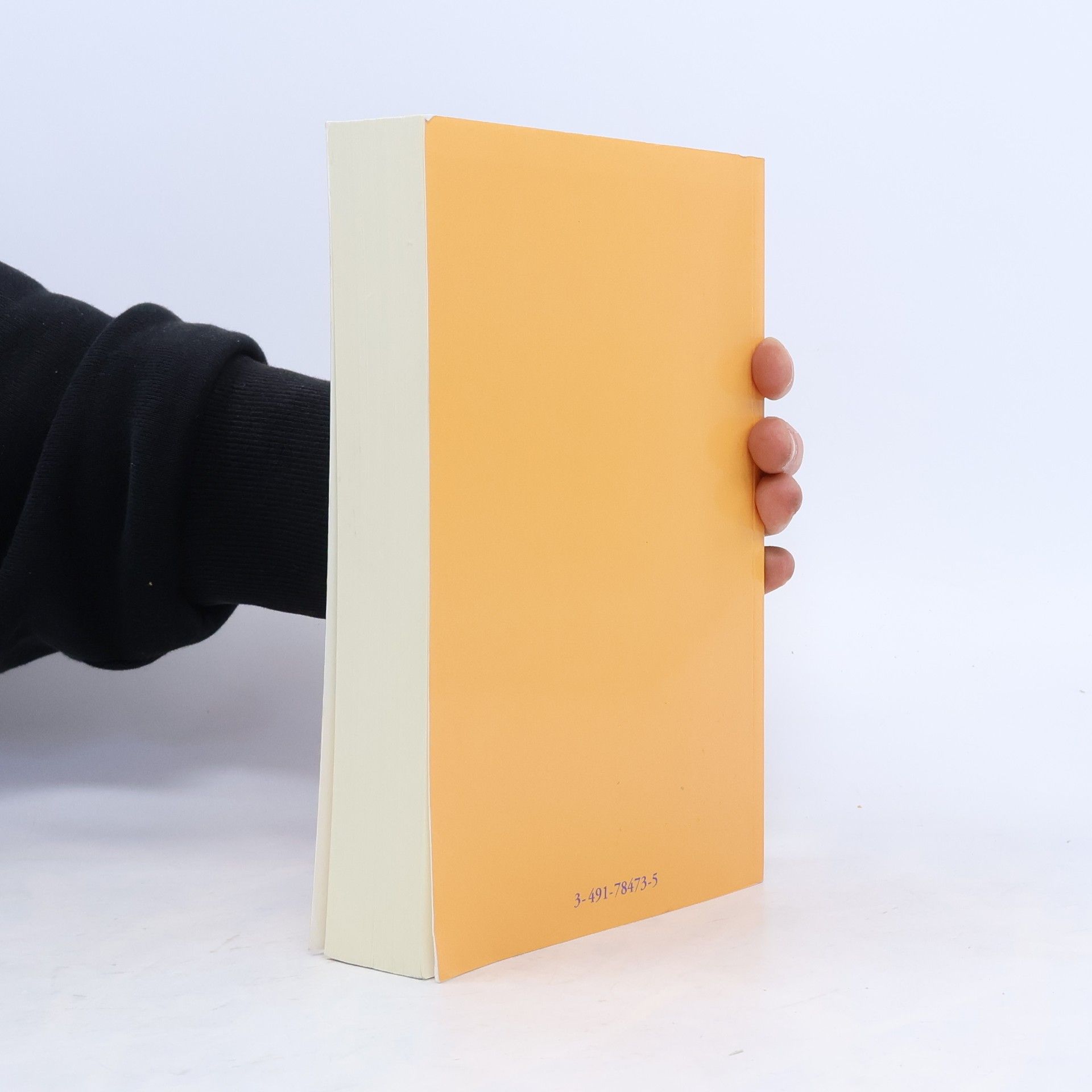 Josef Quadflieg Die Bibel für den Unterricht